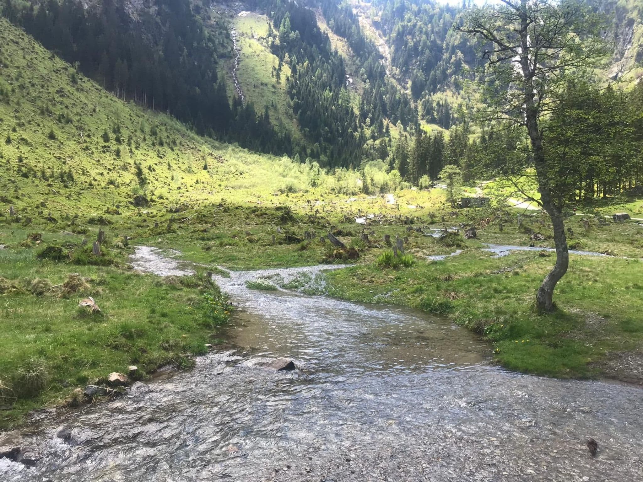 Gallery Image 42
