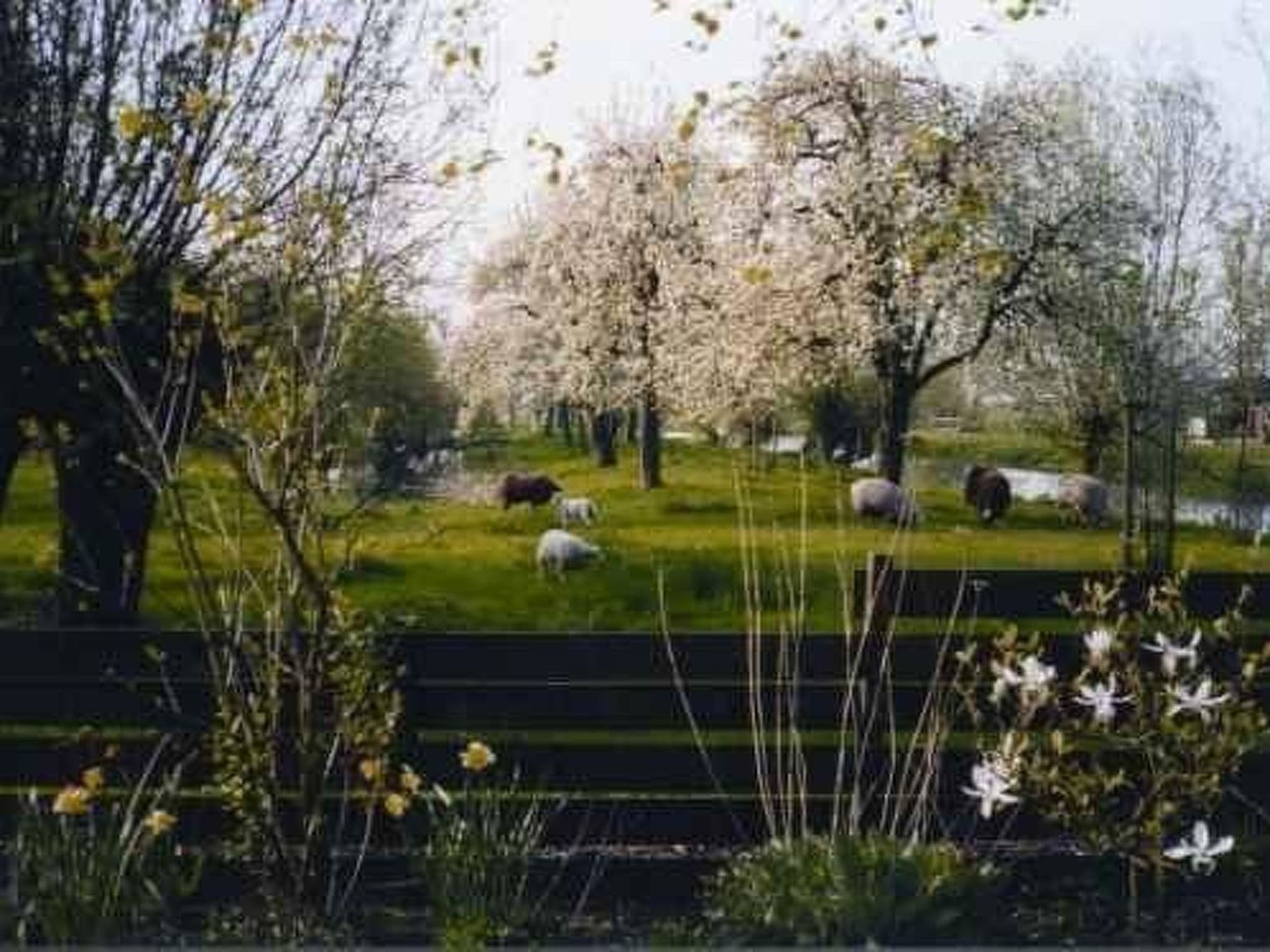 Gallery Image 31