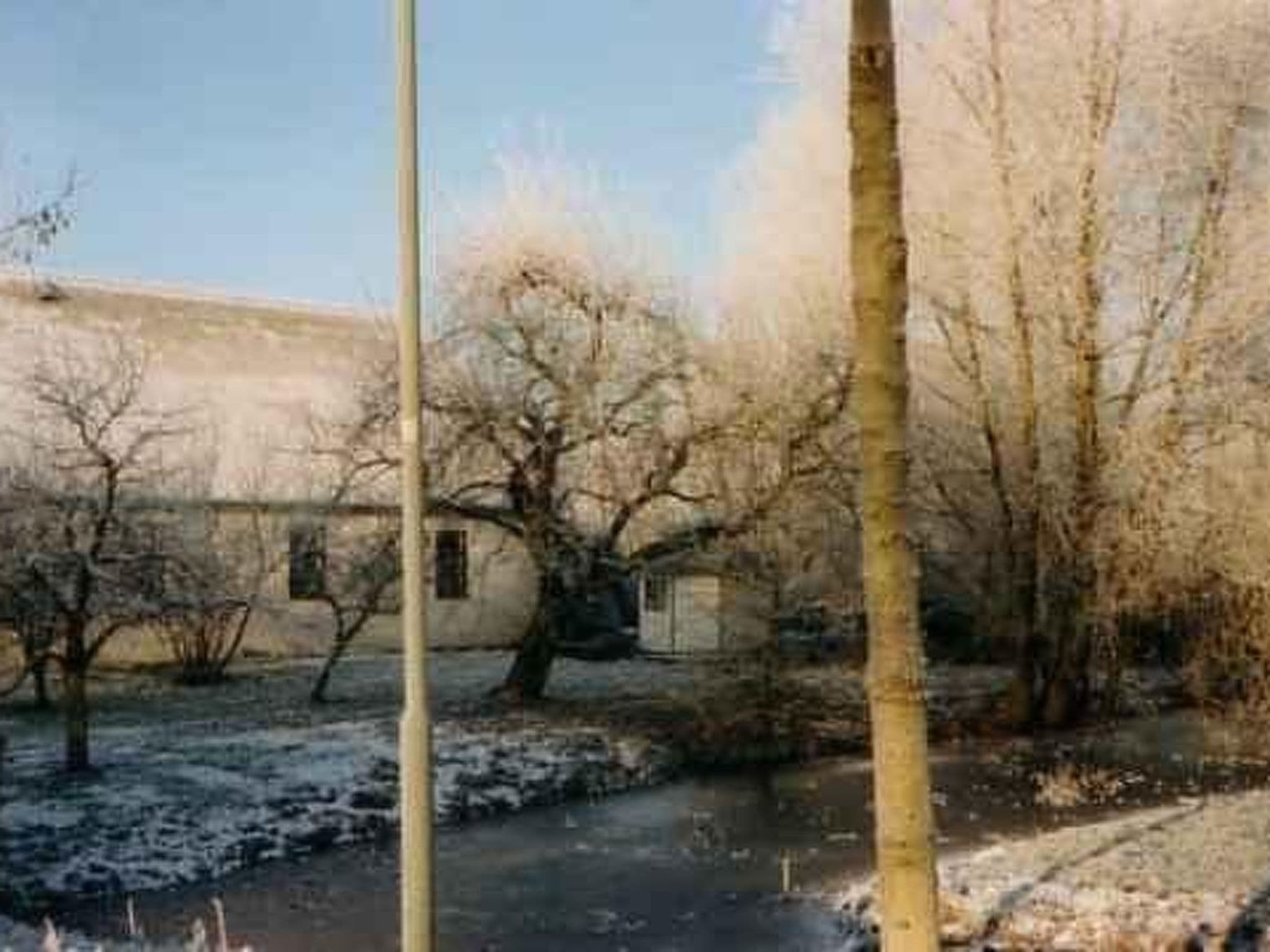 Gallery Image 42