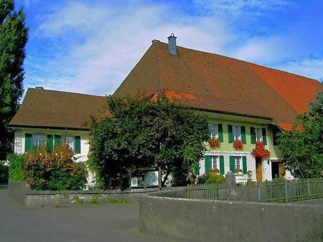 Large Image