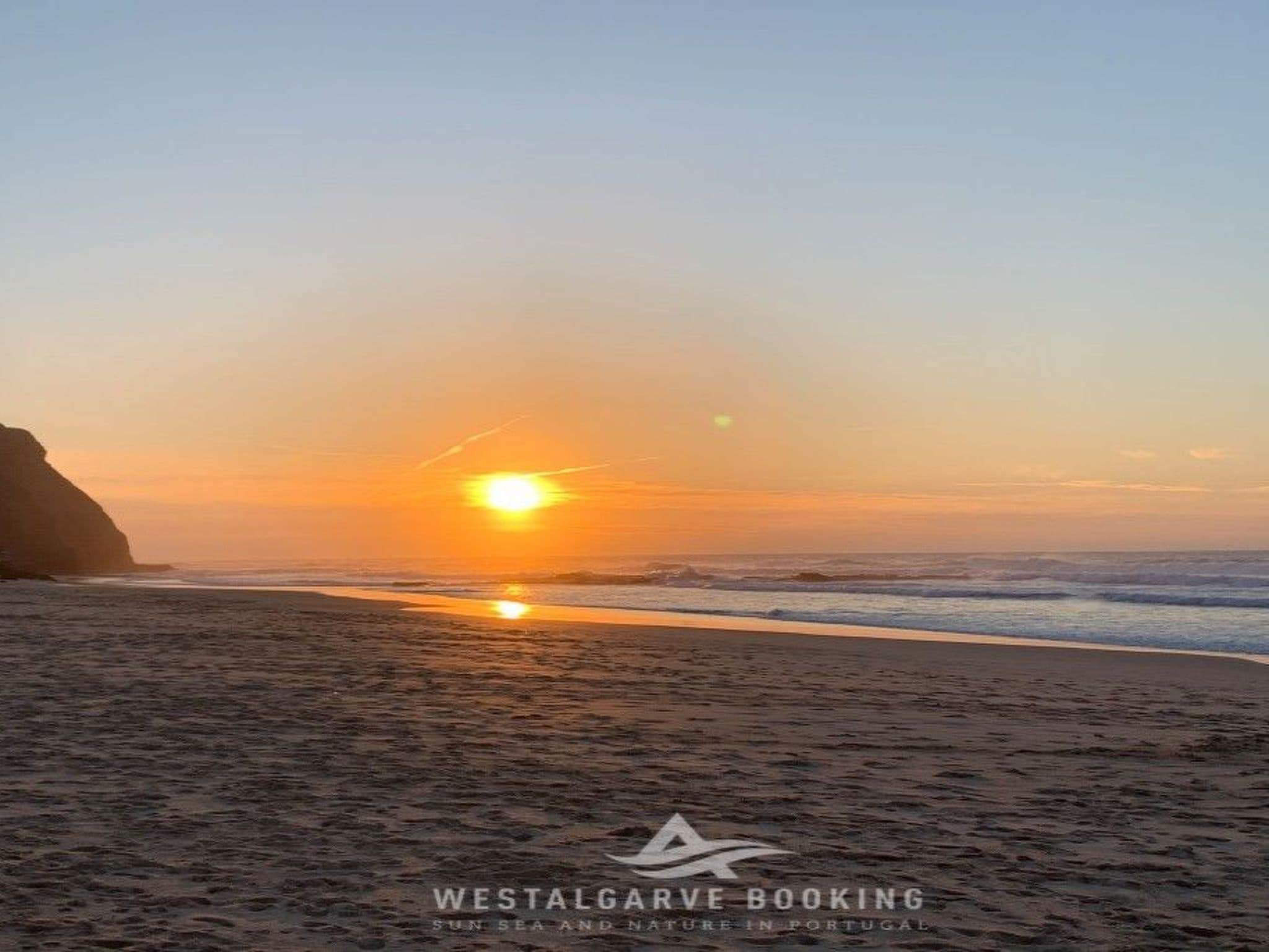 Gallery Image 22