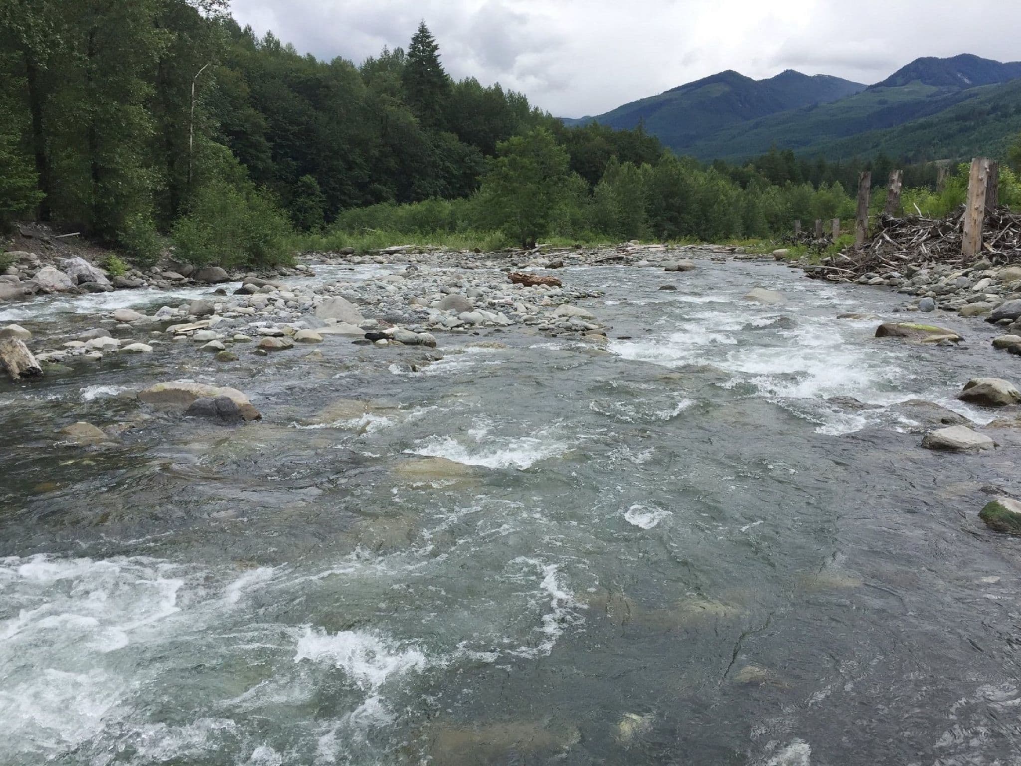 Gallery Image 27