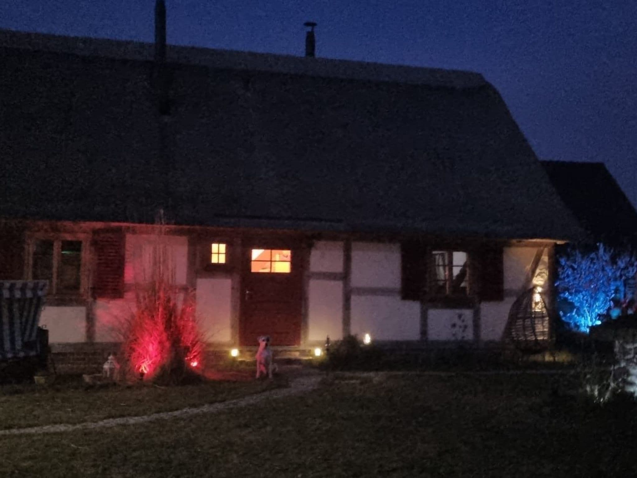 Gallery Image 48