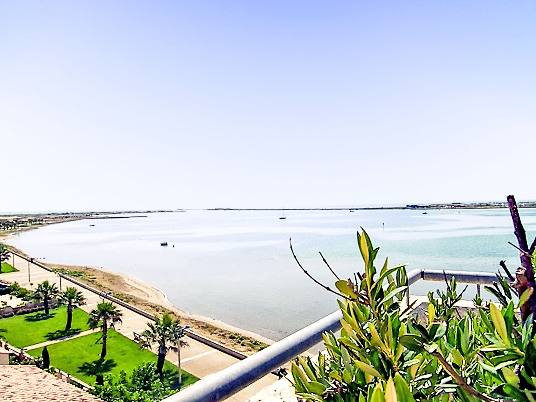 View