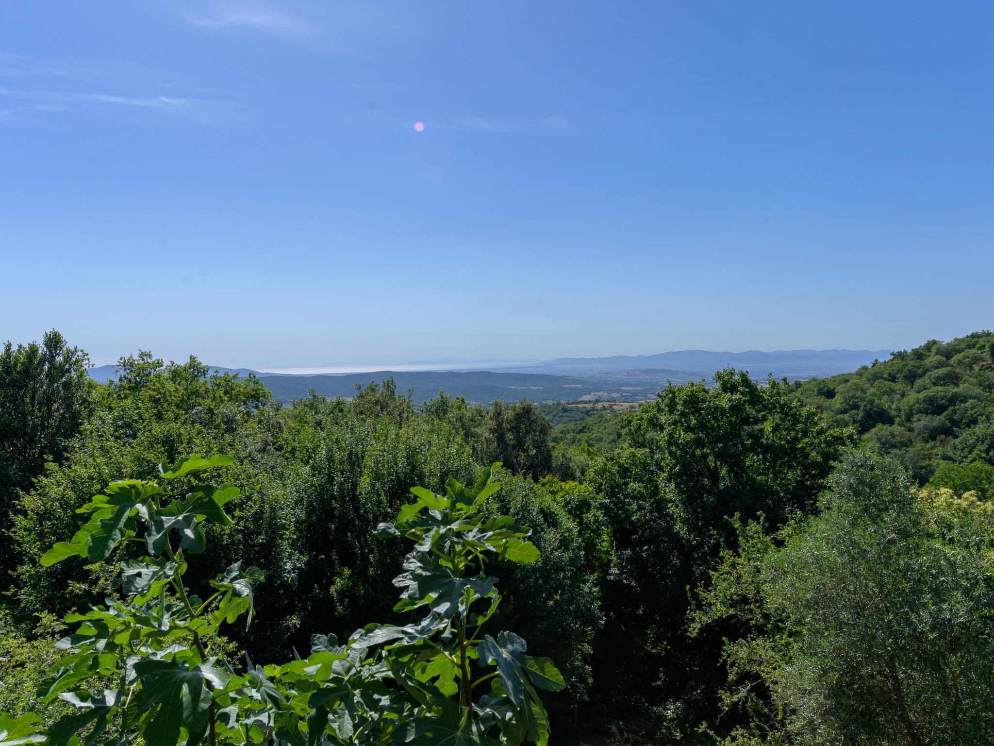 View