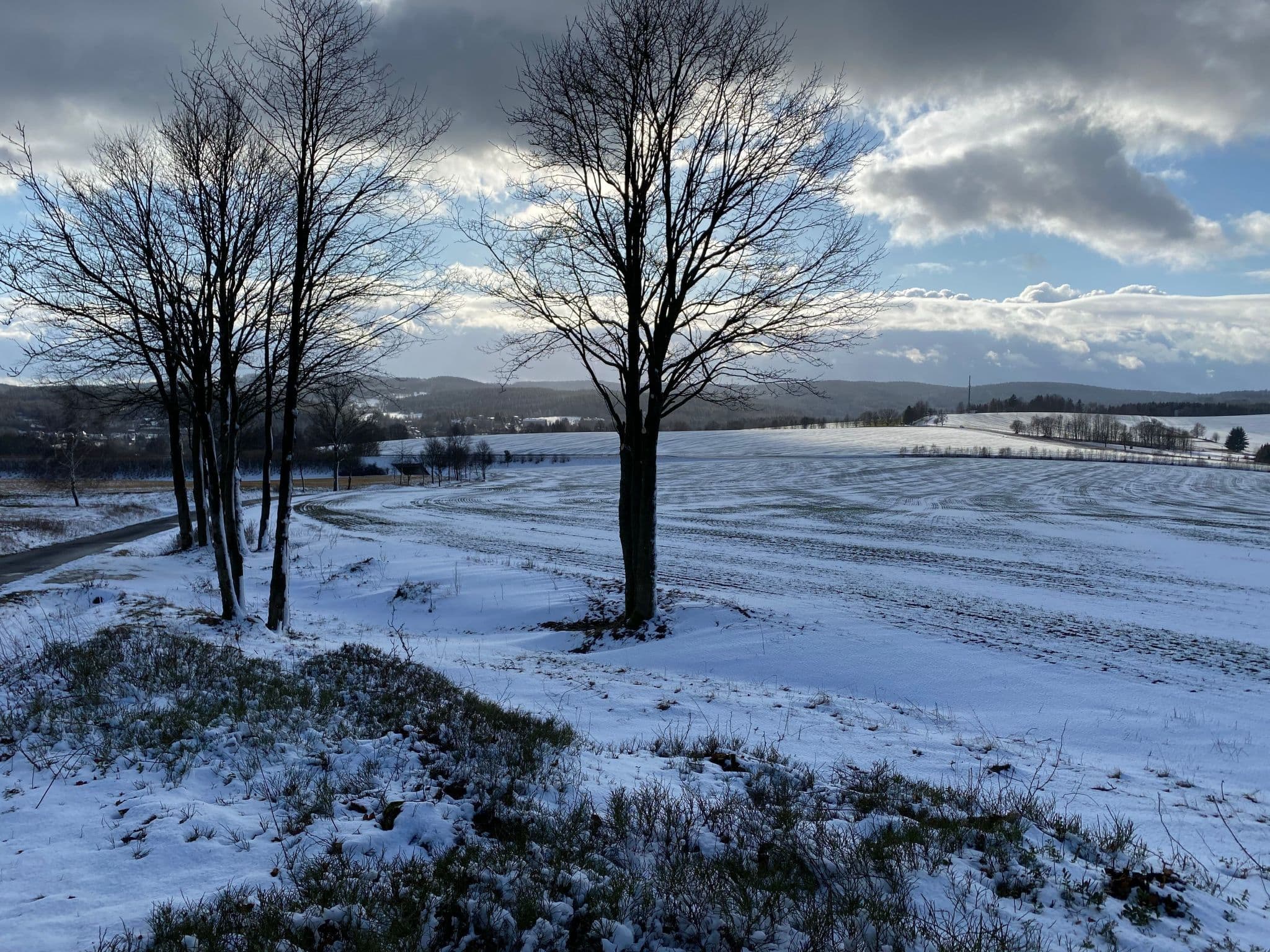 View