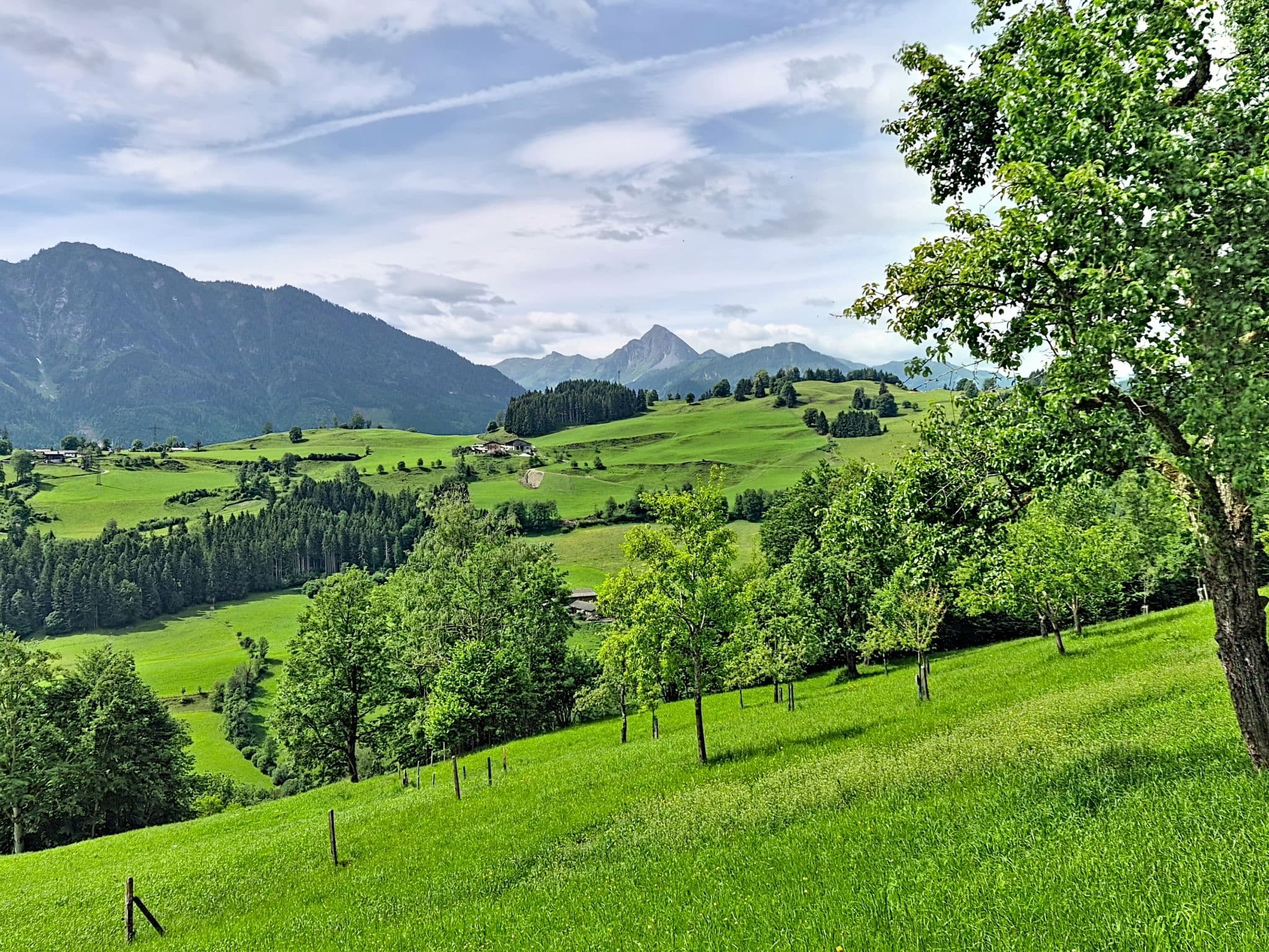 View