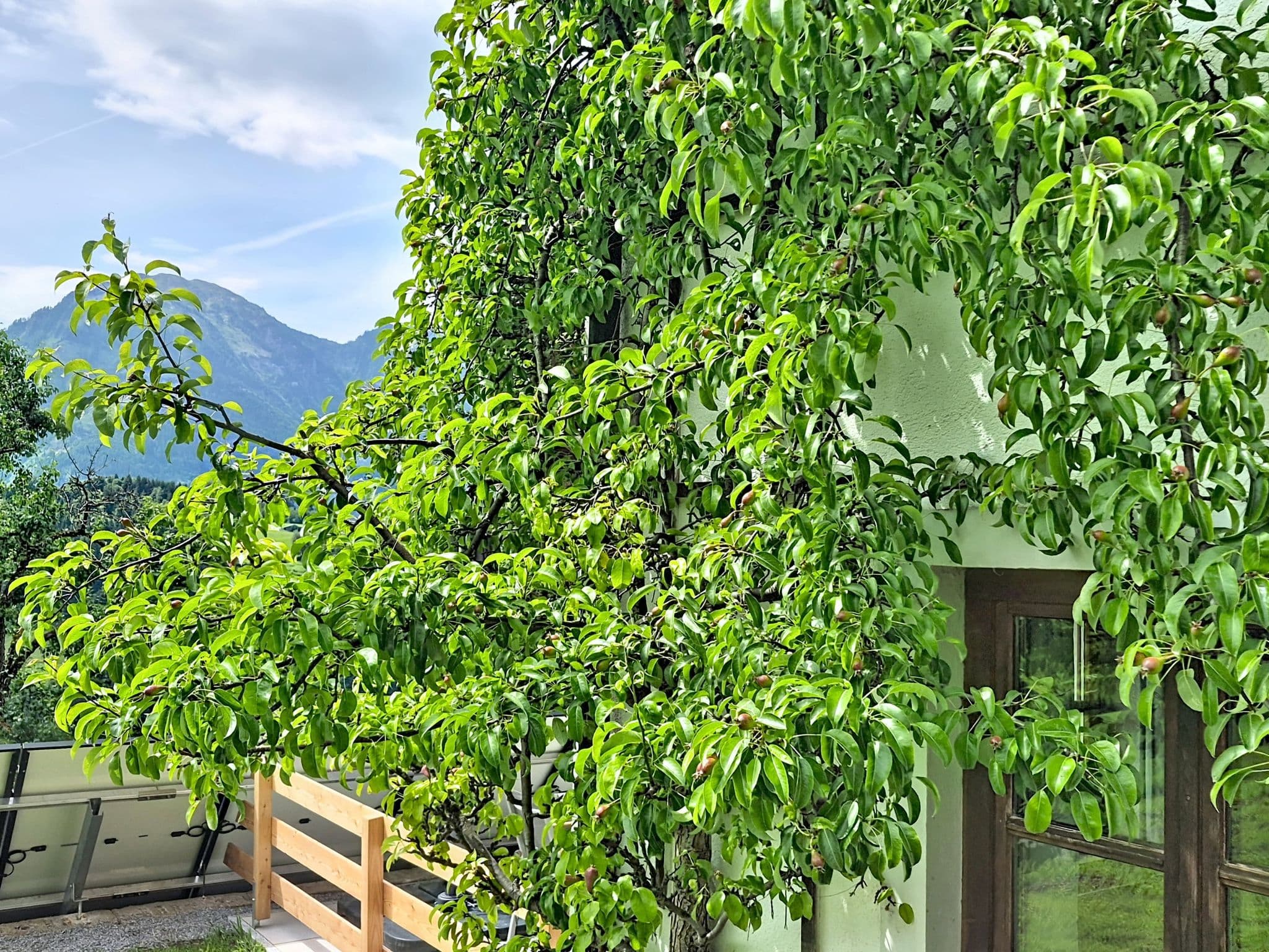 Outdoor