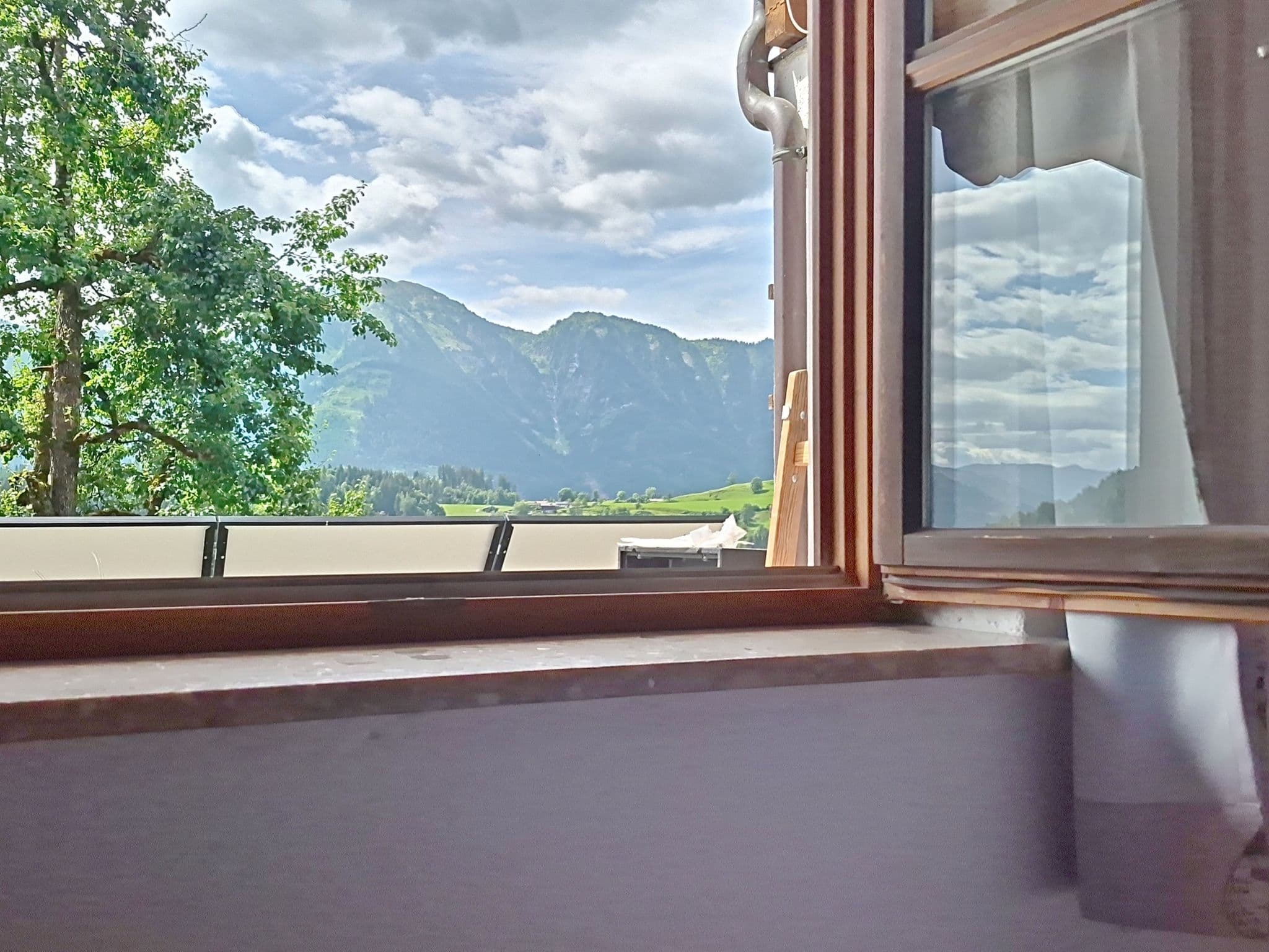 View