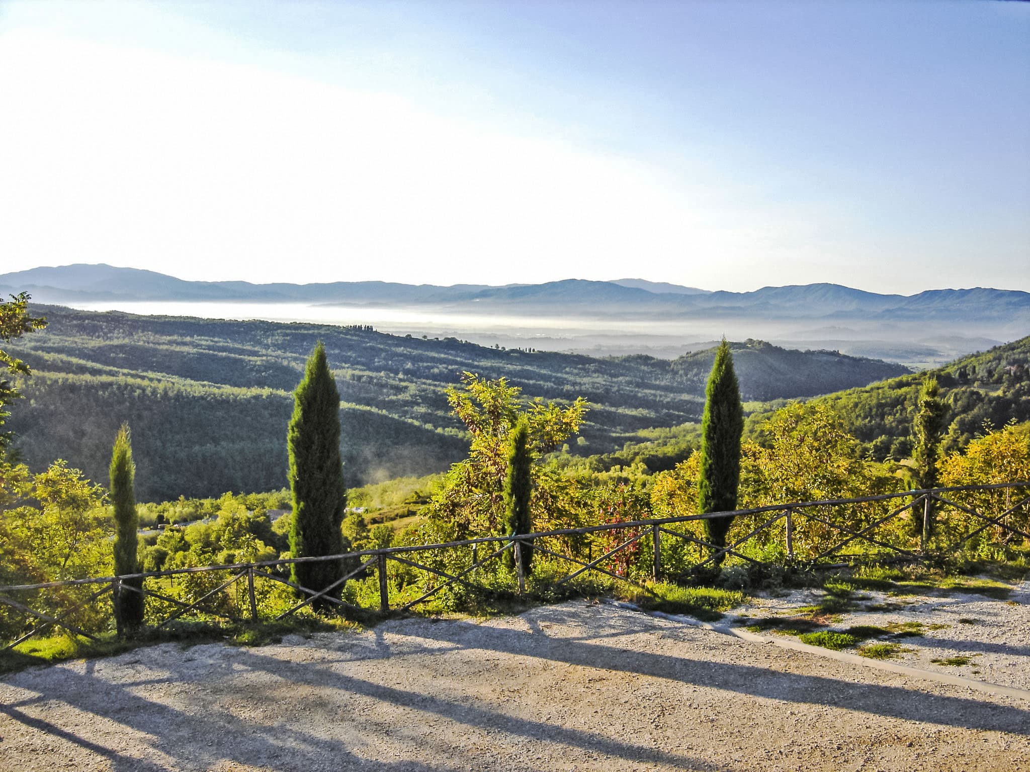 View