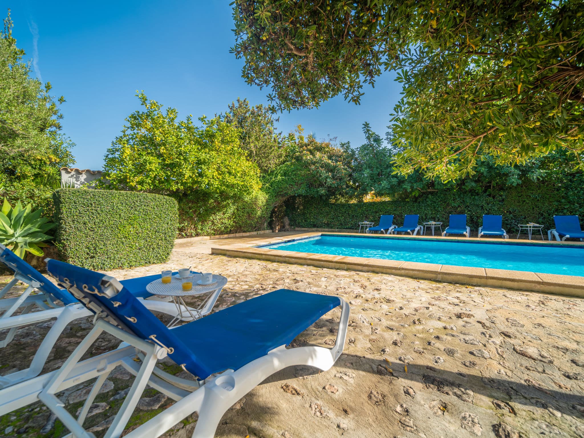 Pool Outdoor