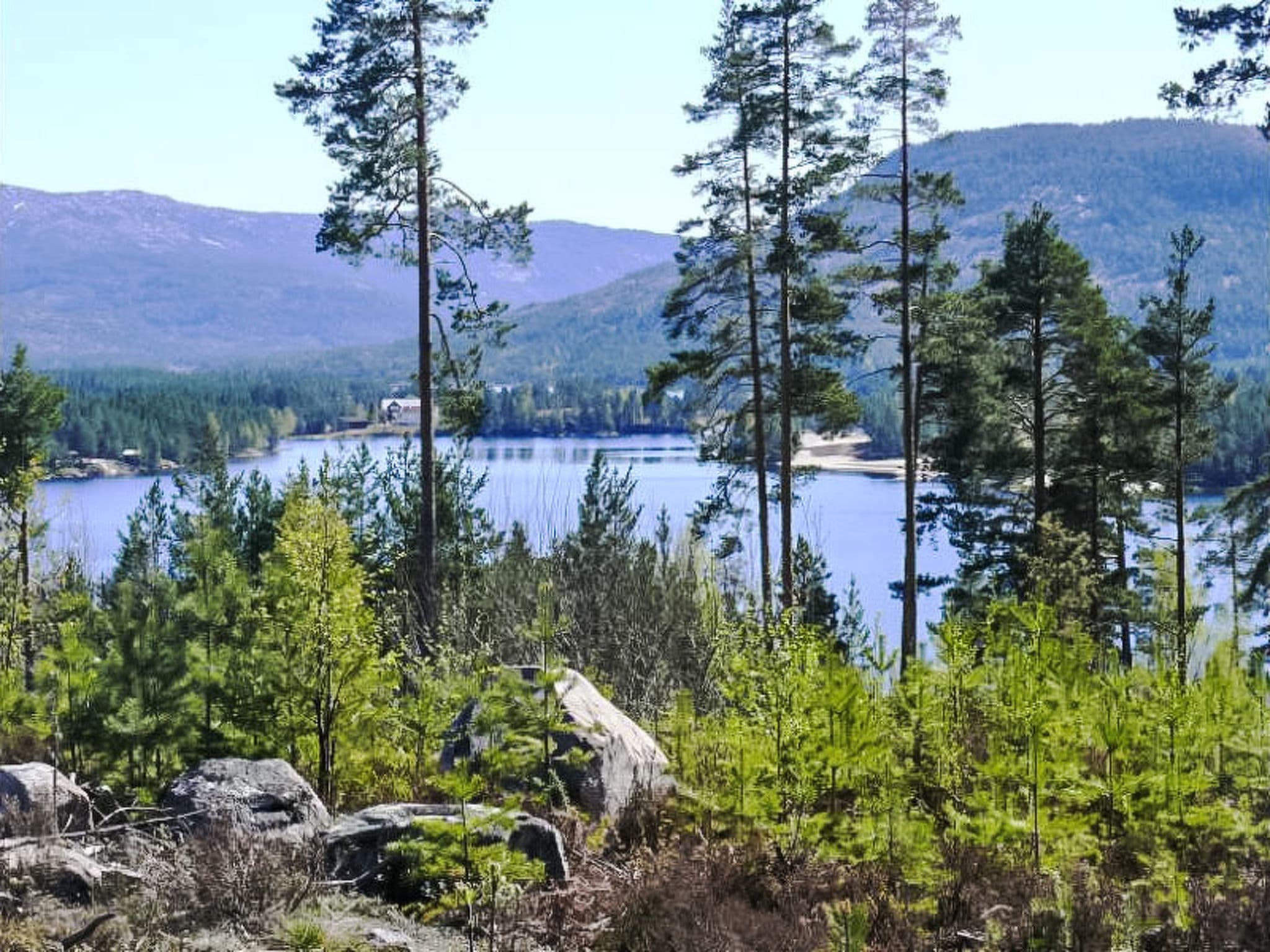 View