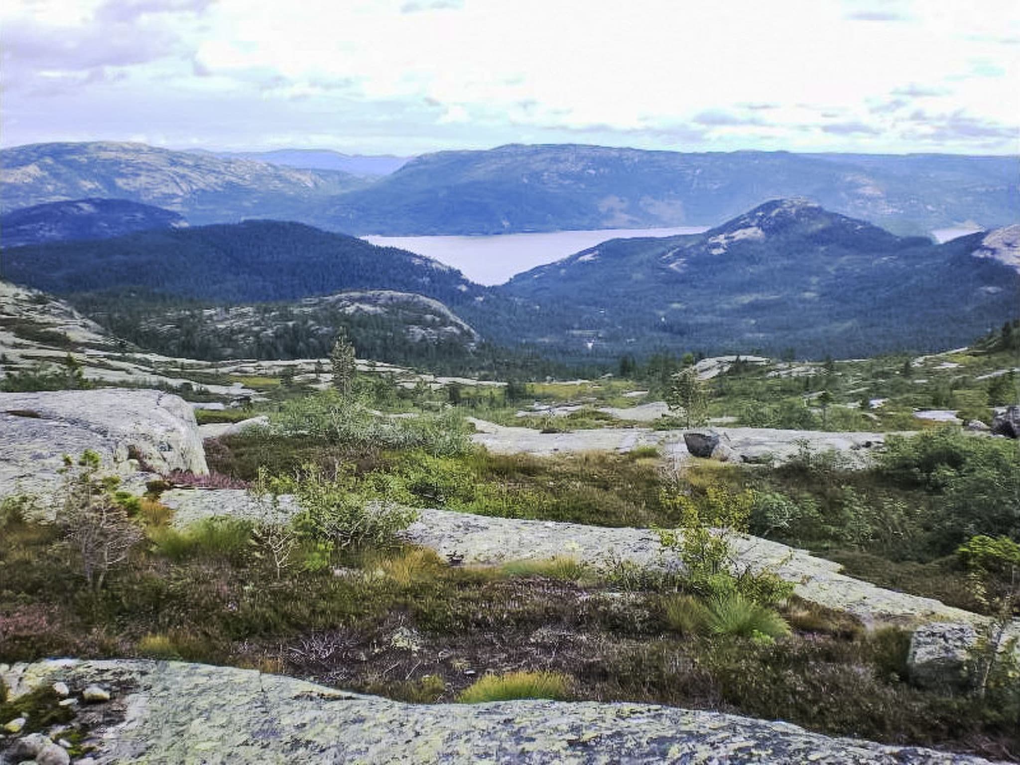 View