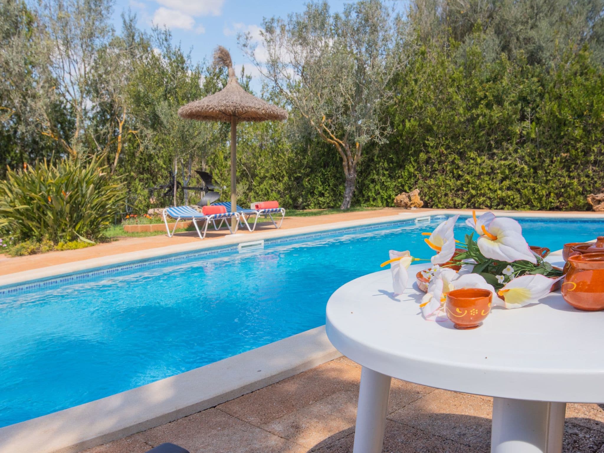 Pool Outdoor