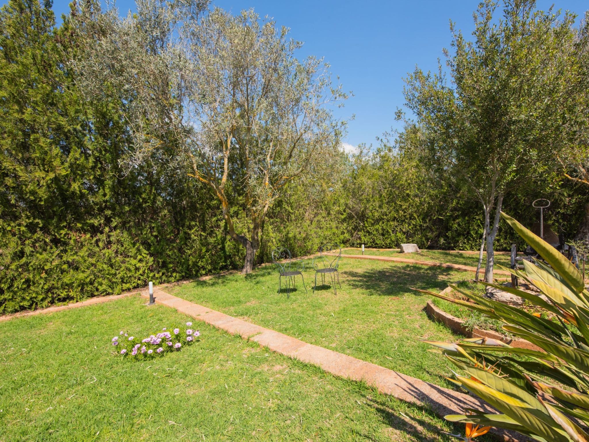 Gallery Image 10