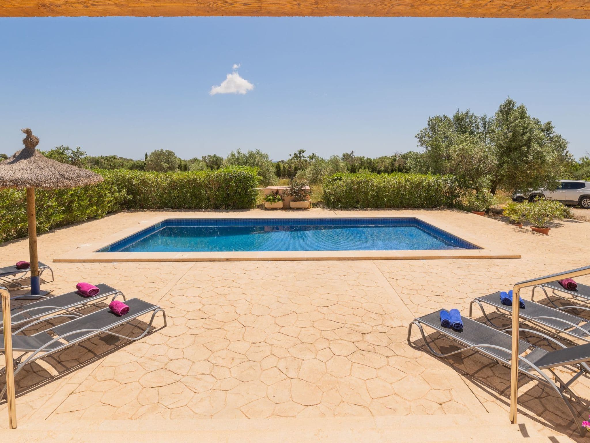 Pool Outdoor