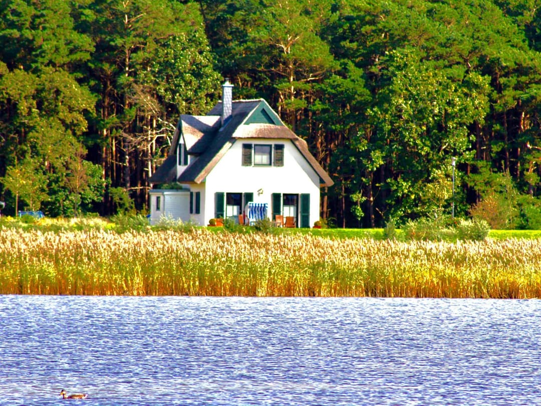 Large Image