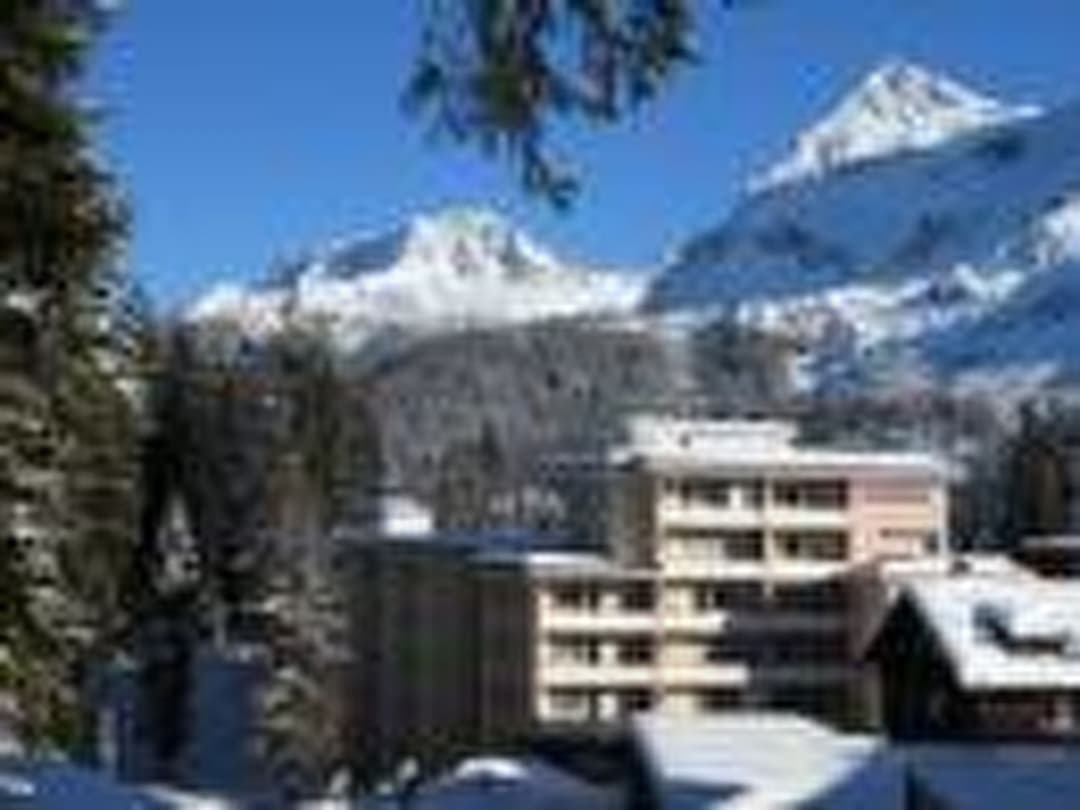 Large Image