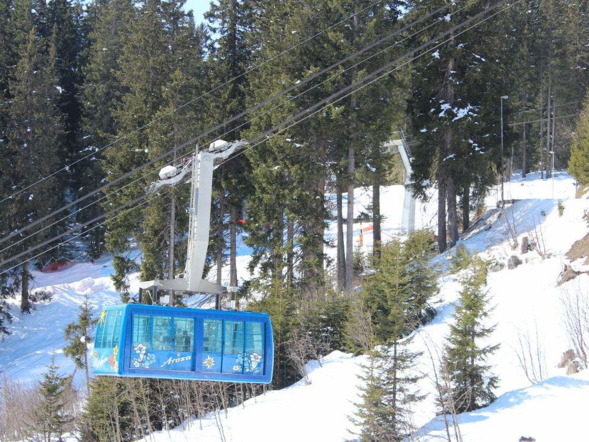 Gallery Image 7