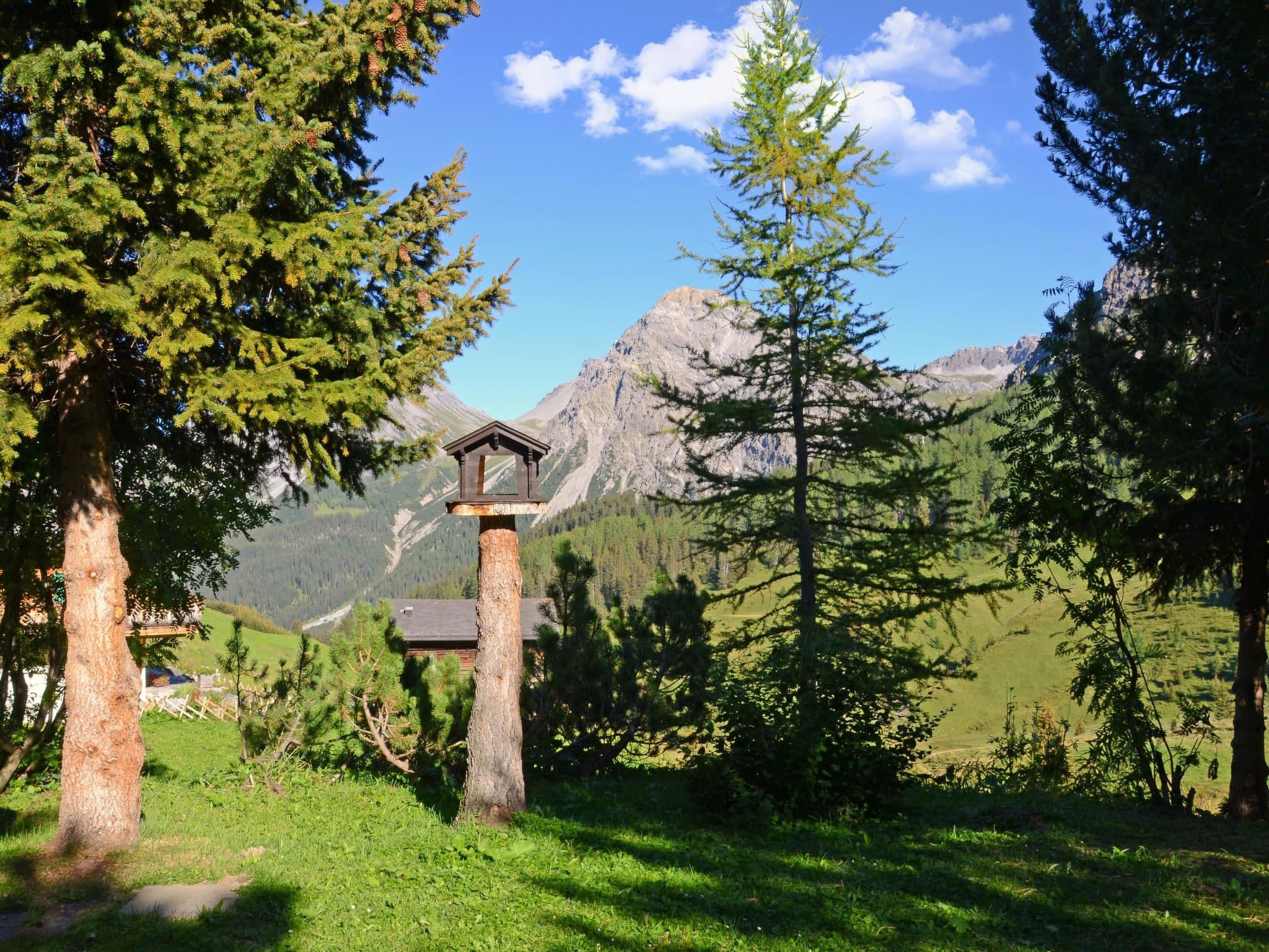 Gallery Image 21