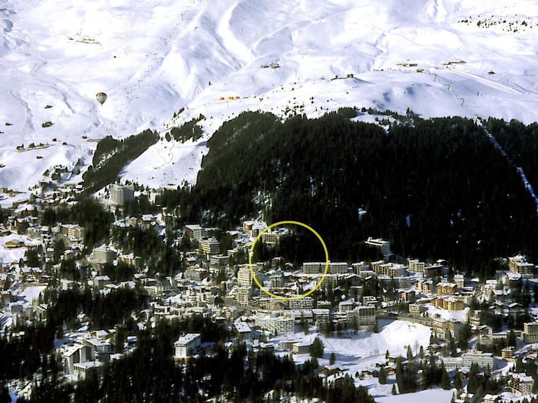 Large Image
