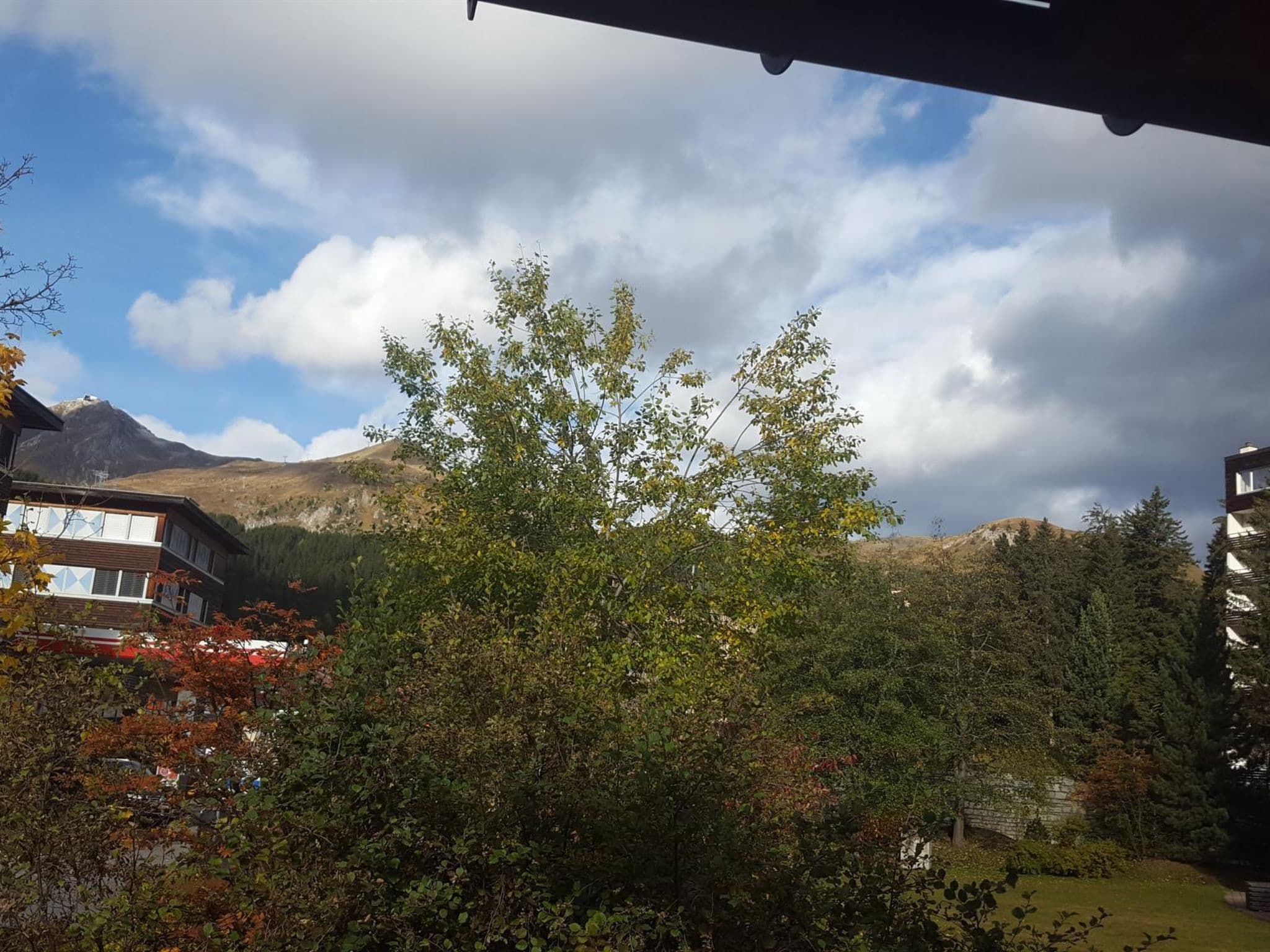 Gallery Image 17
