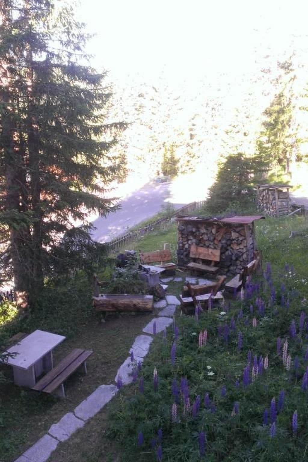 Gallery Image 7