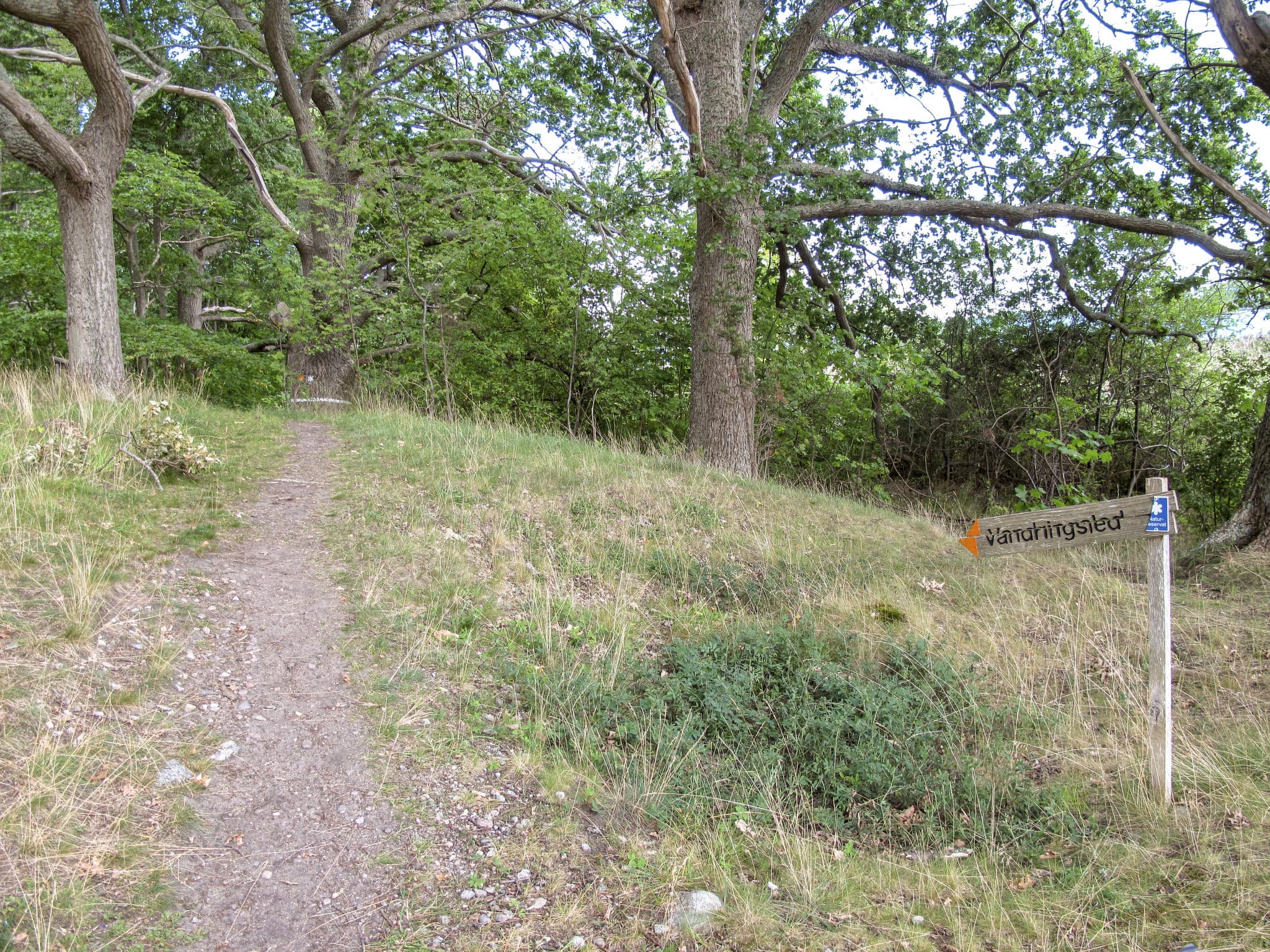 Place