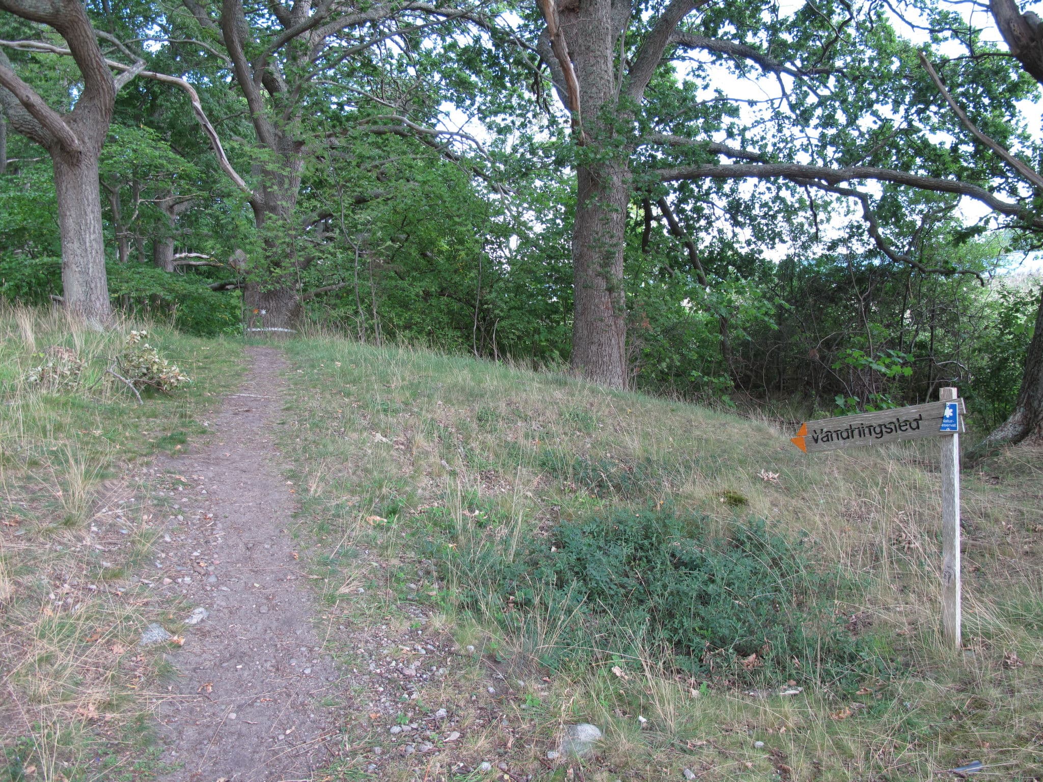 Place