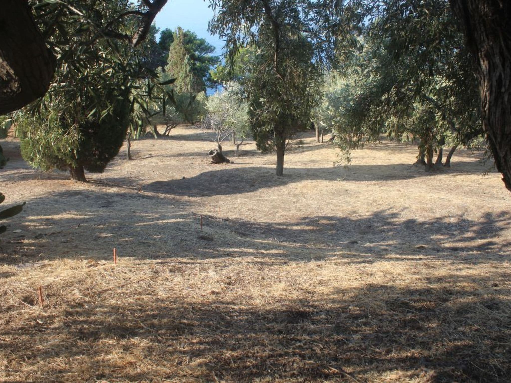Gallery Image 29