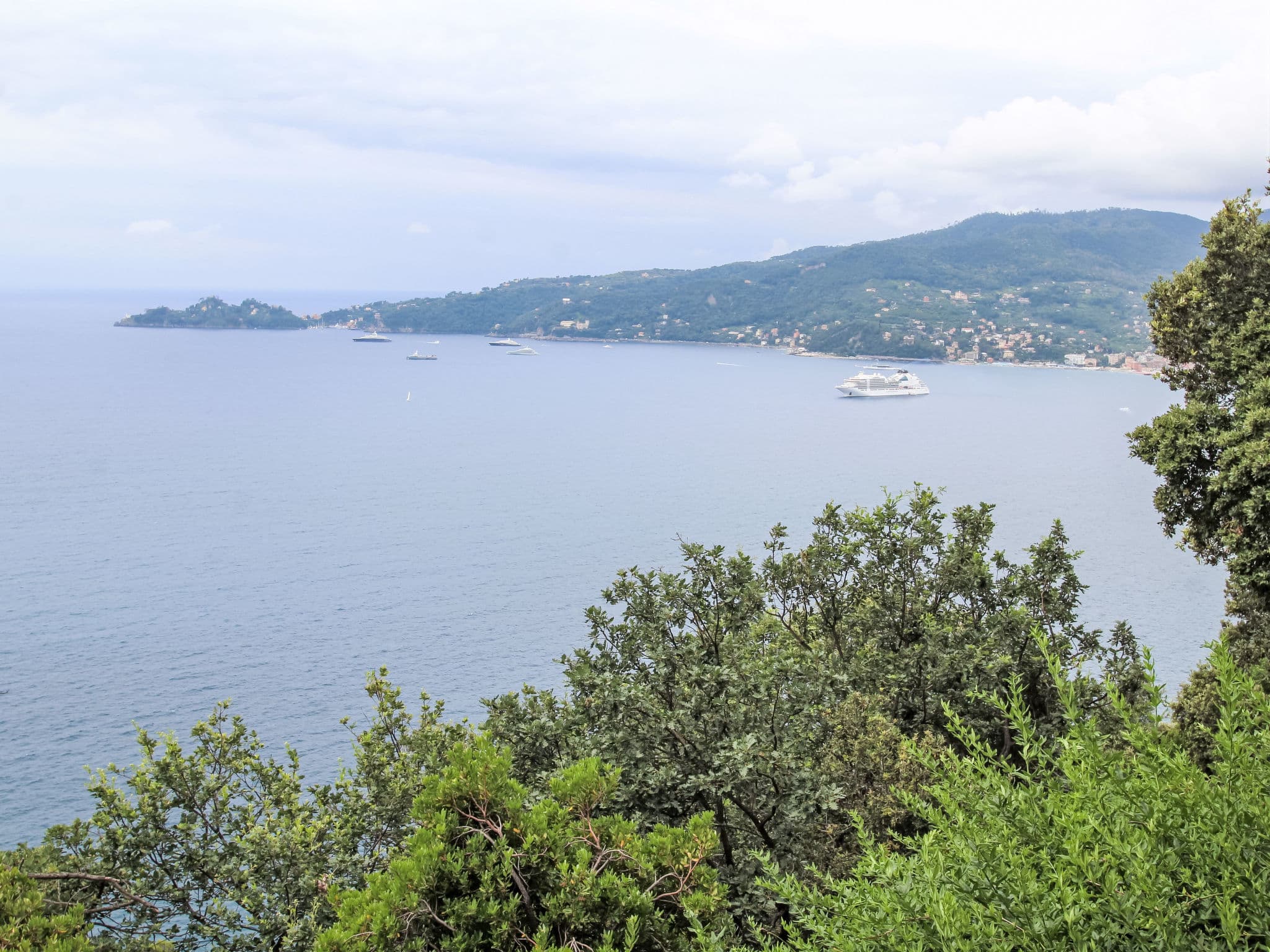 View