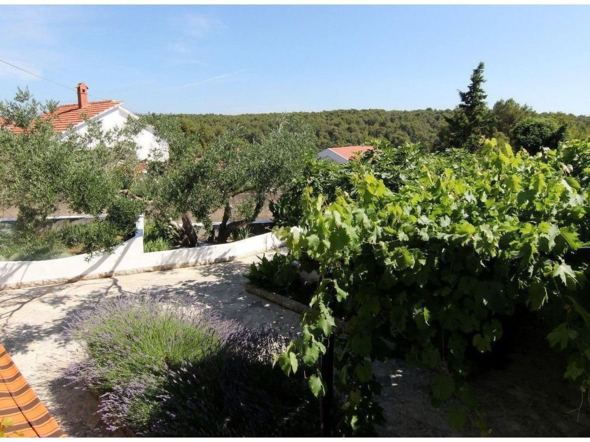 Gallery Image 15