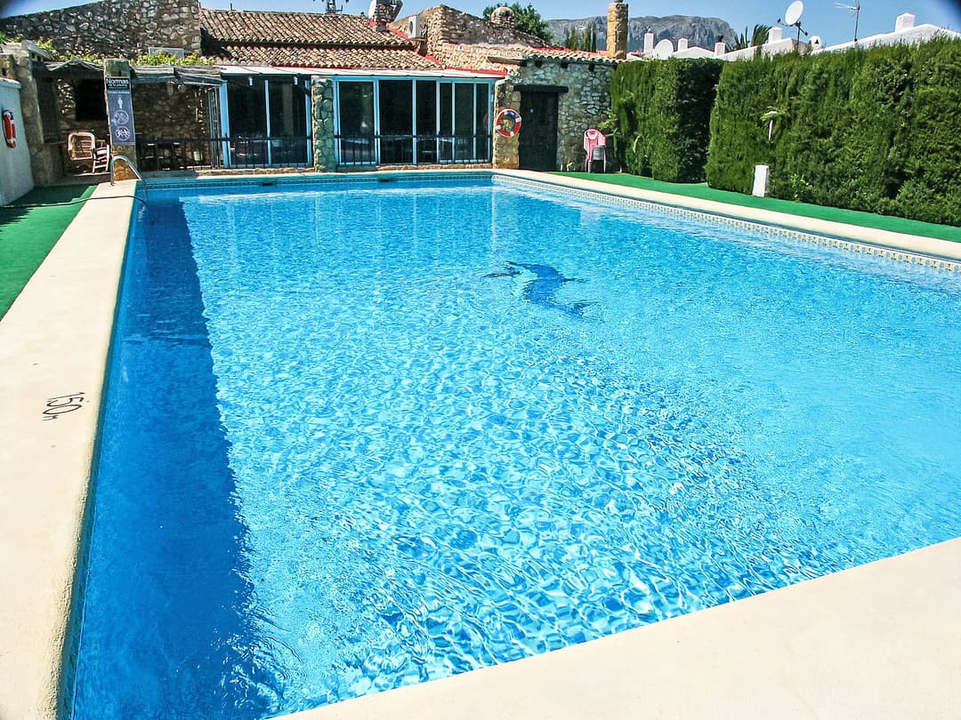 Large Image
