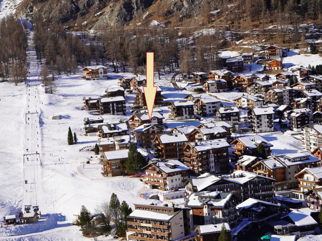 Large Image