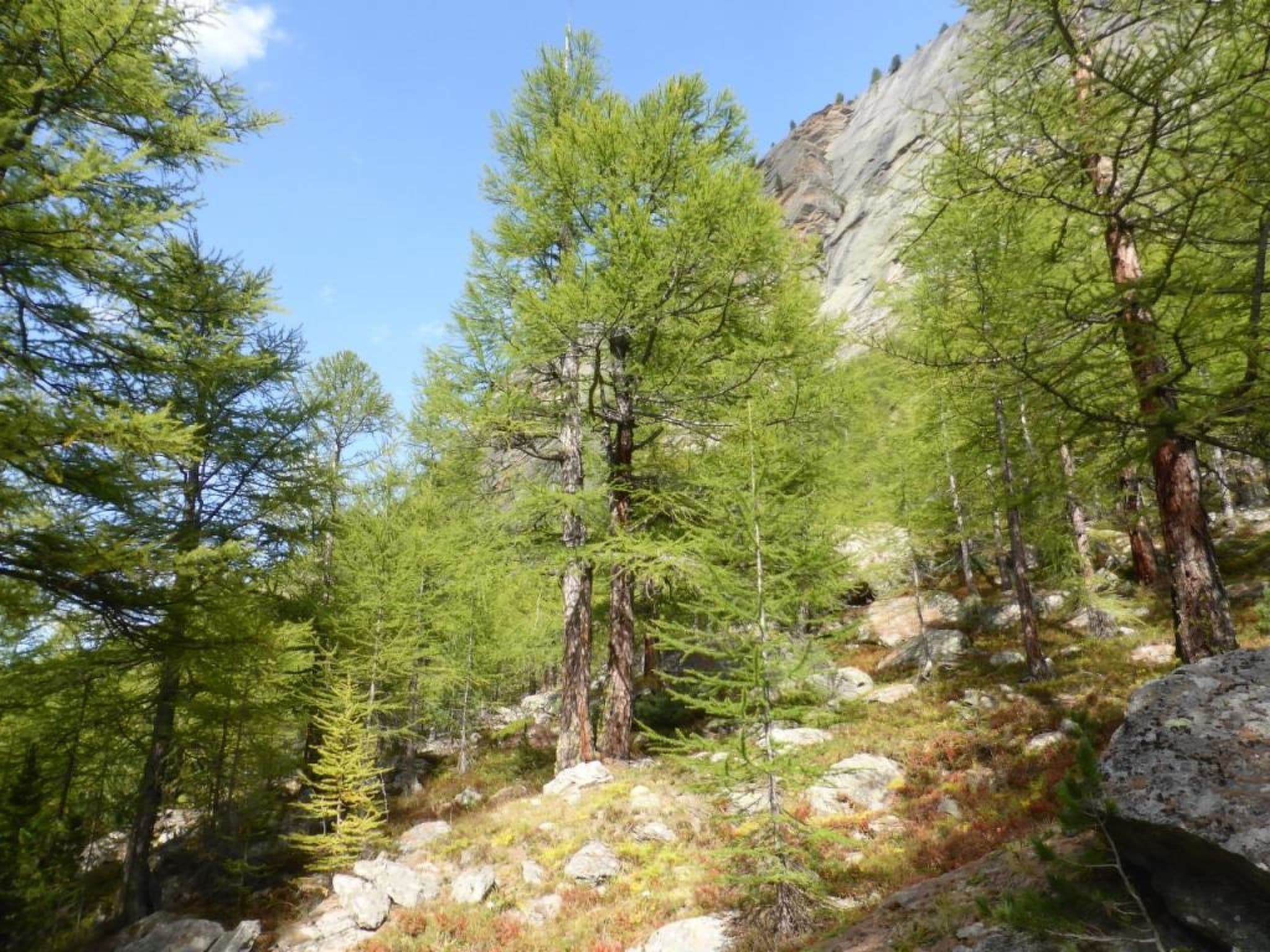 Gallery Image 28