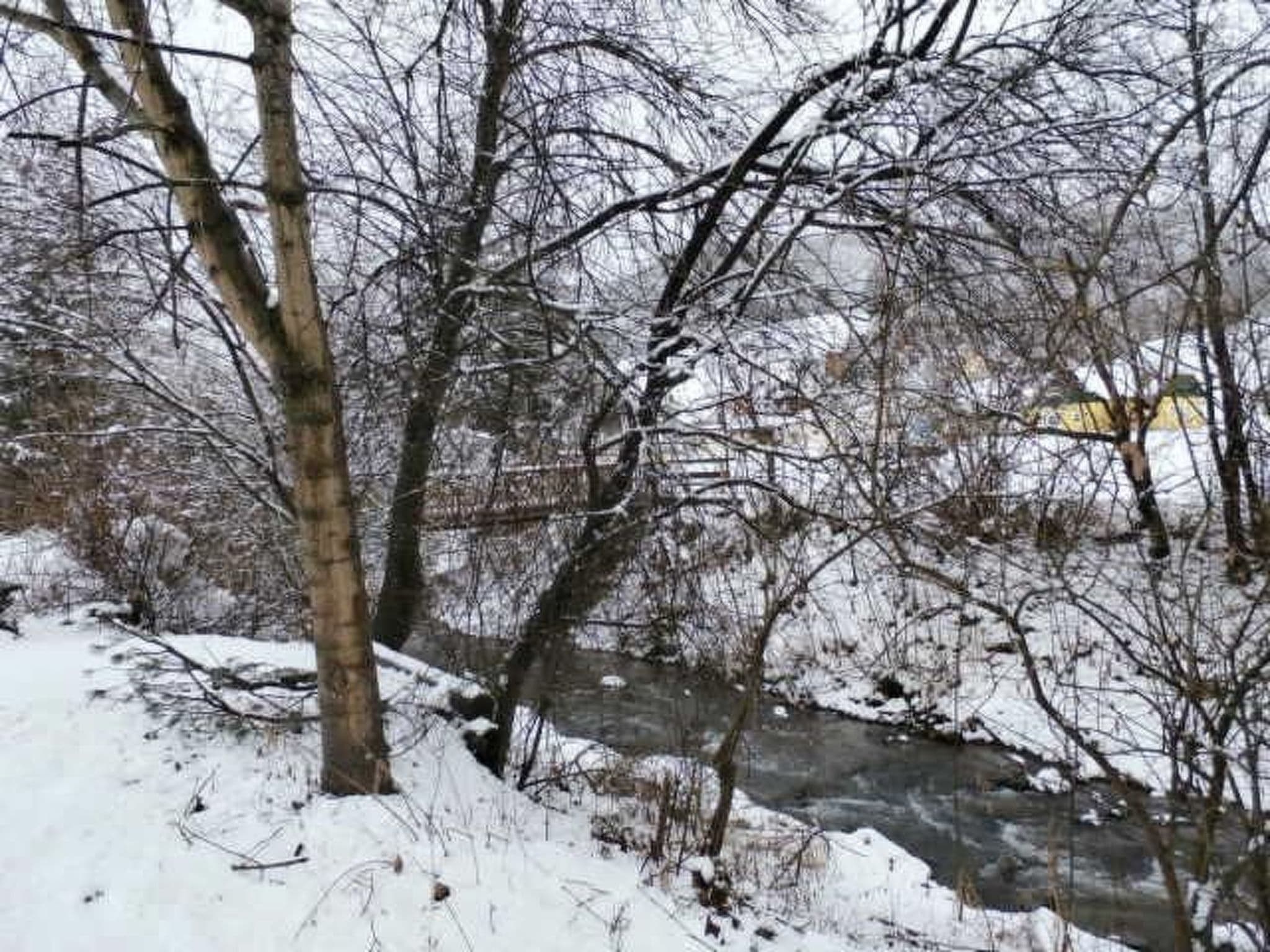Gallery Image 38