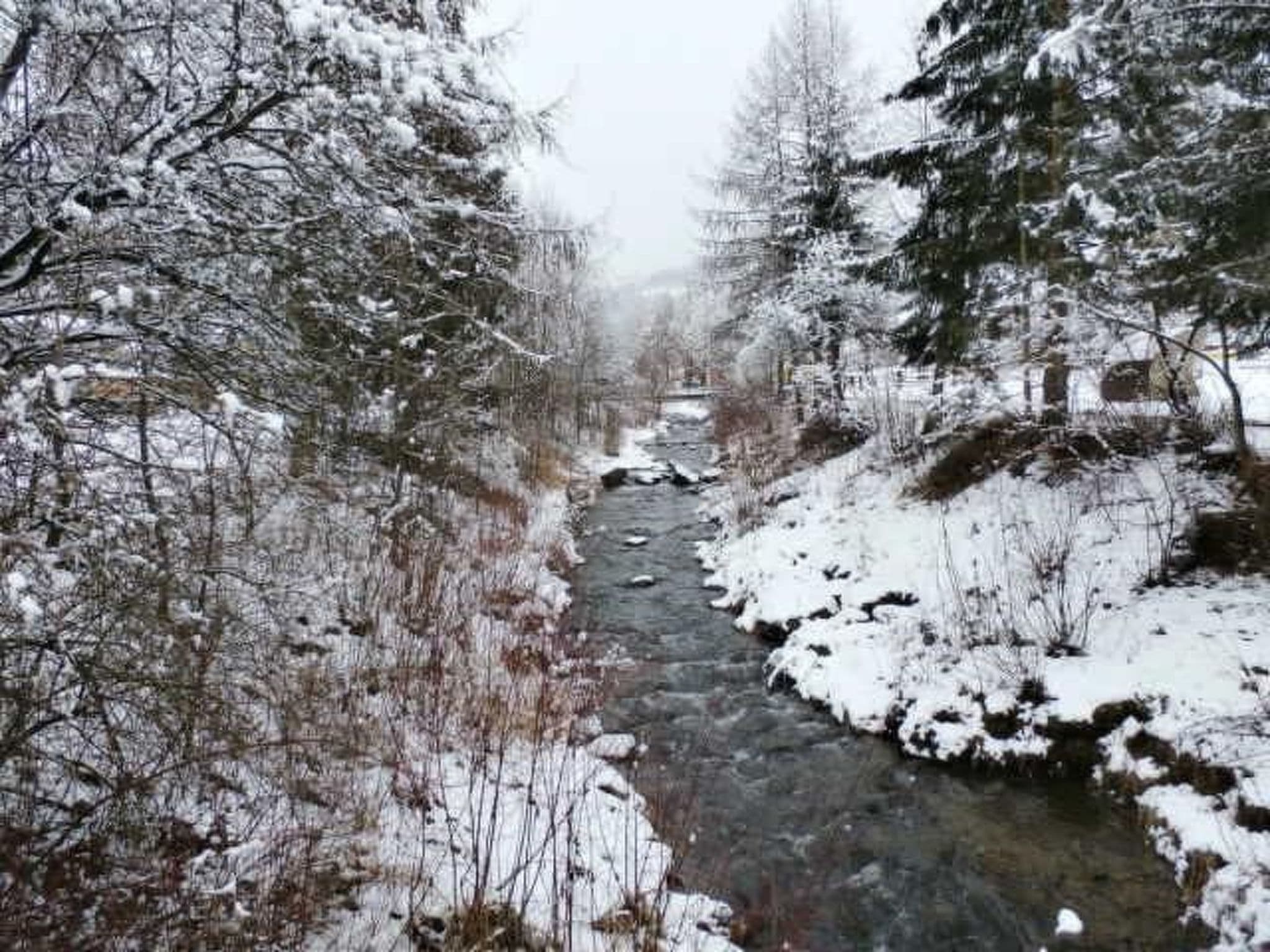 Gallery Image 39