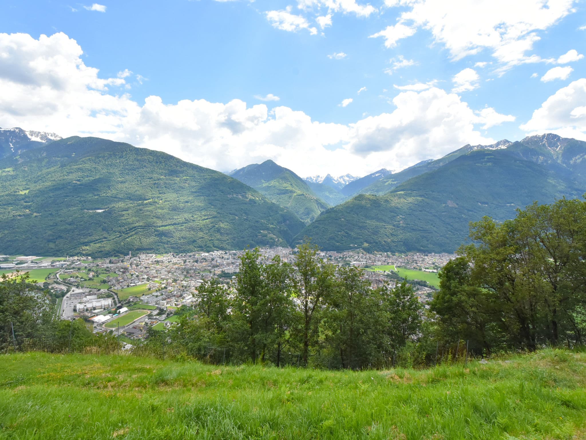View