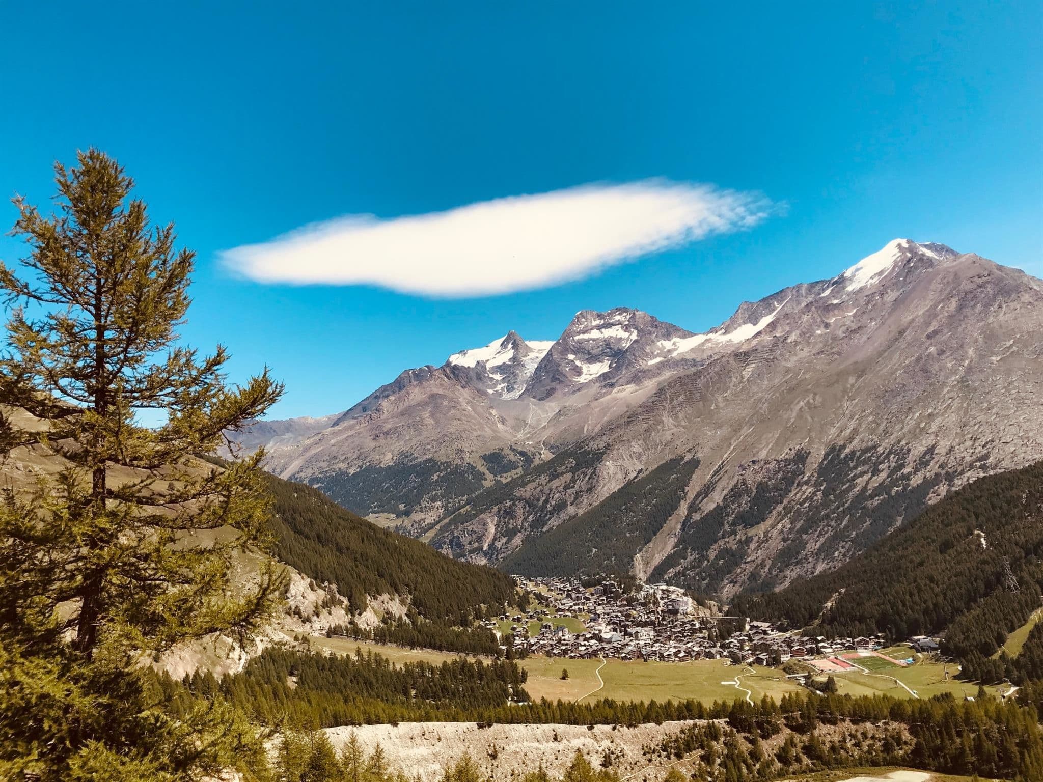 View