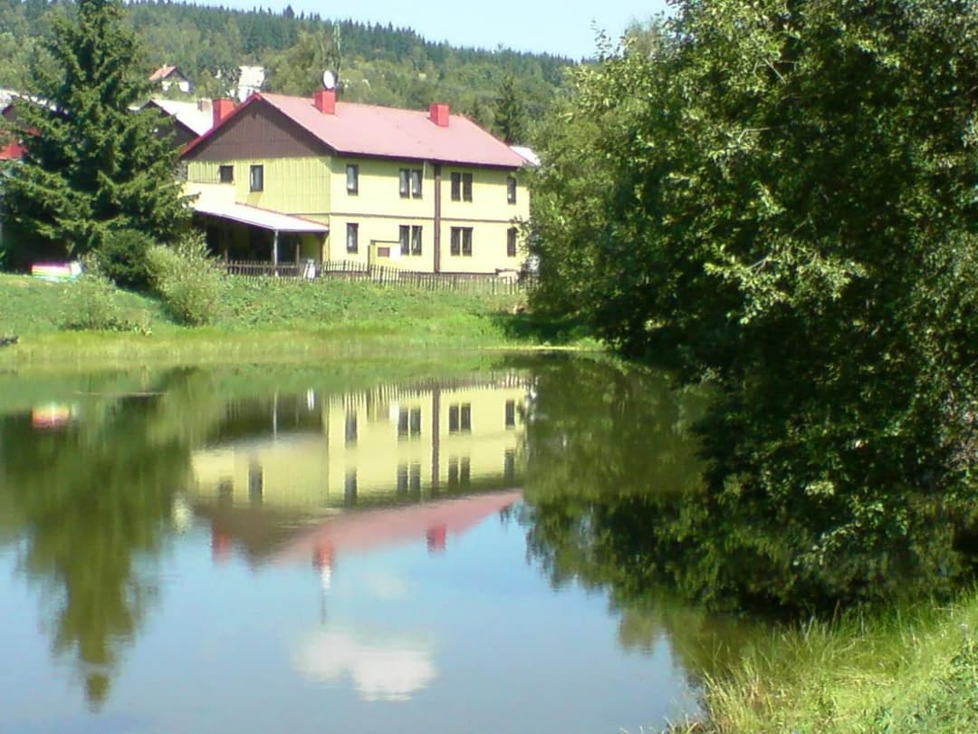 Large Image