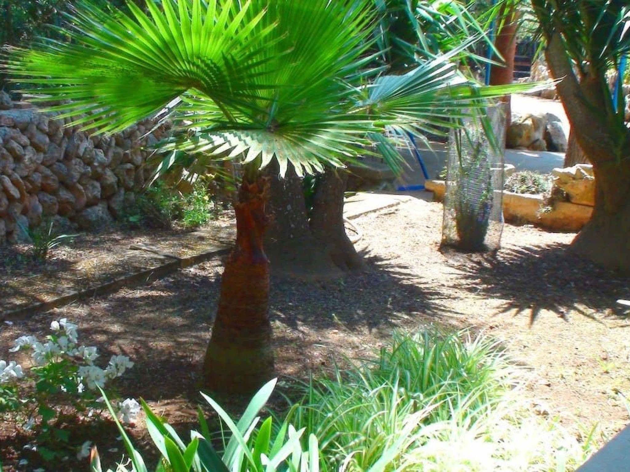 Gallery Image 33