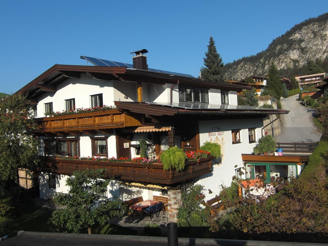 Large Image
