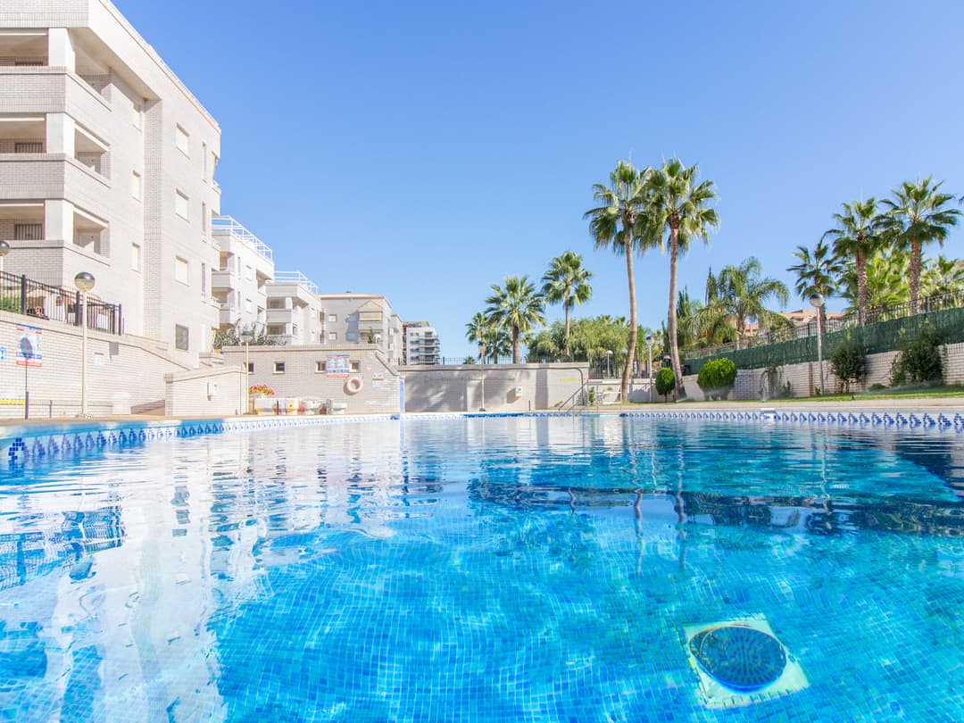 Large Image