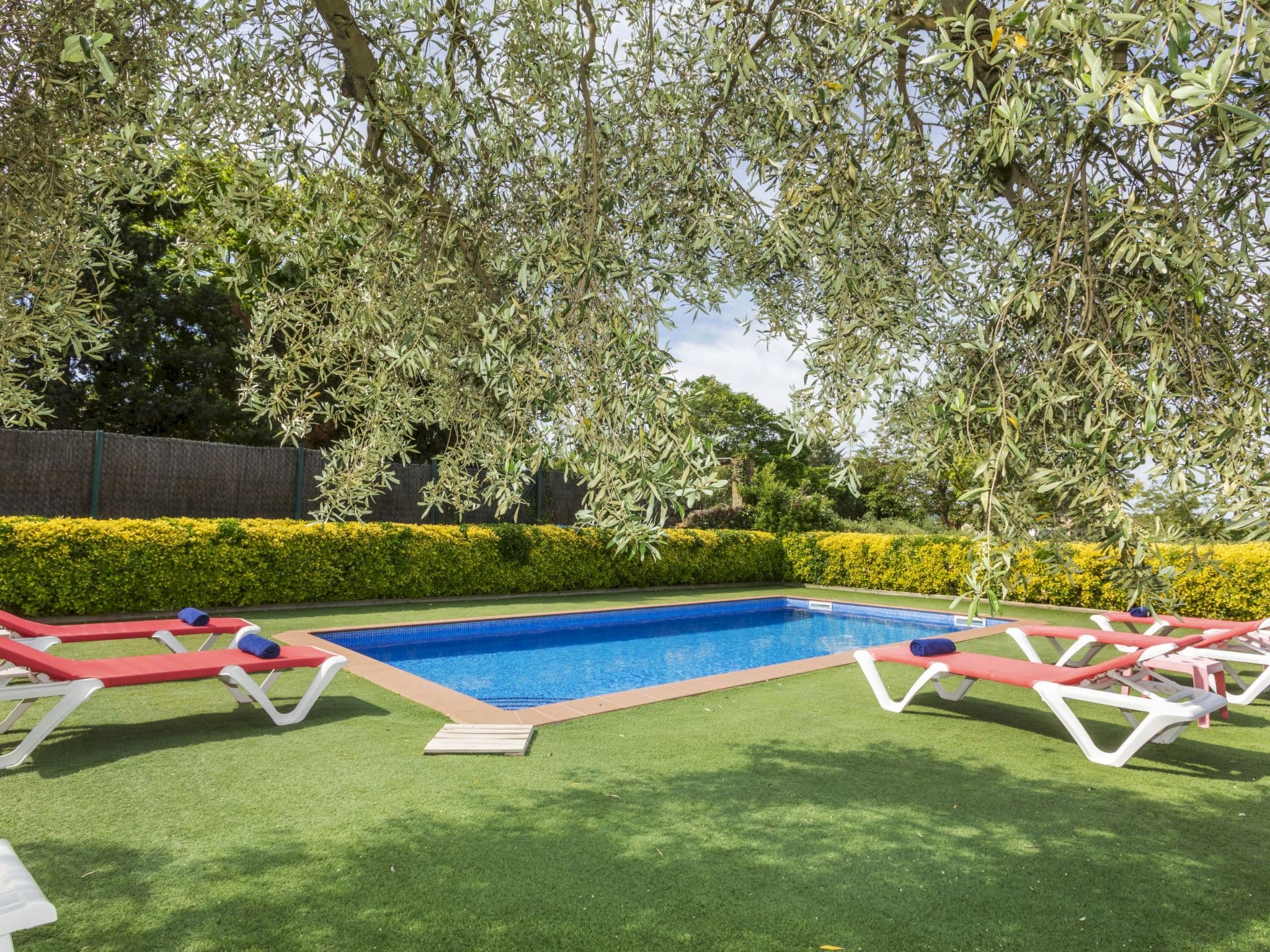 Pool Outdoor
