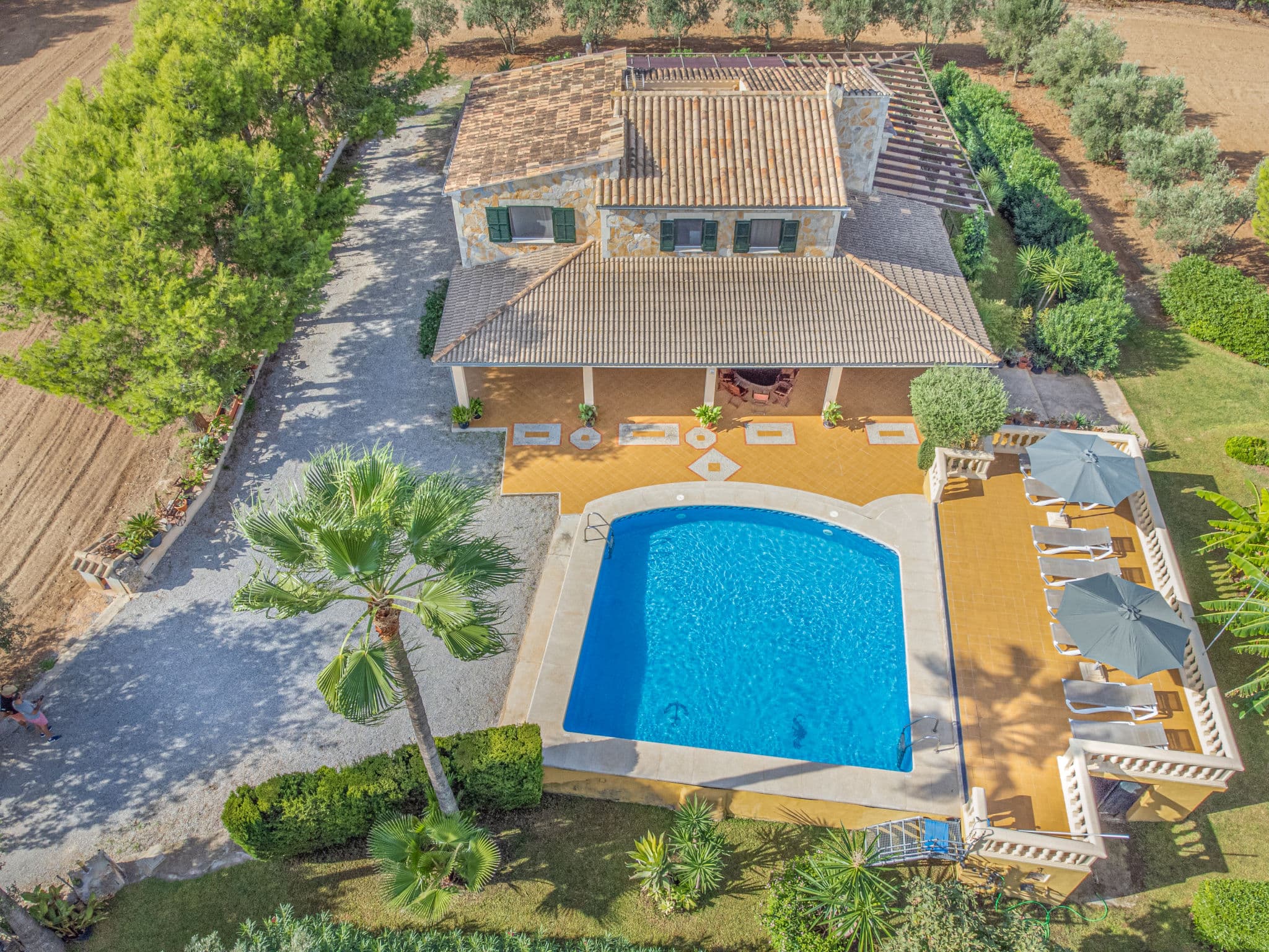 Aerial photography