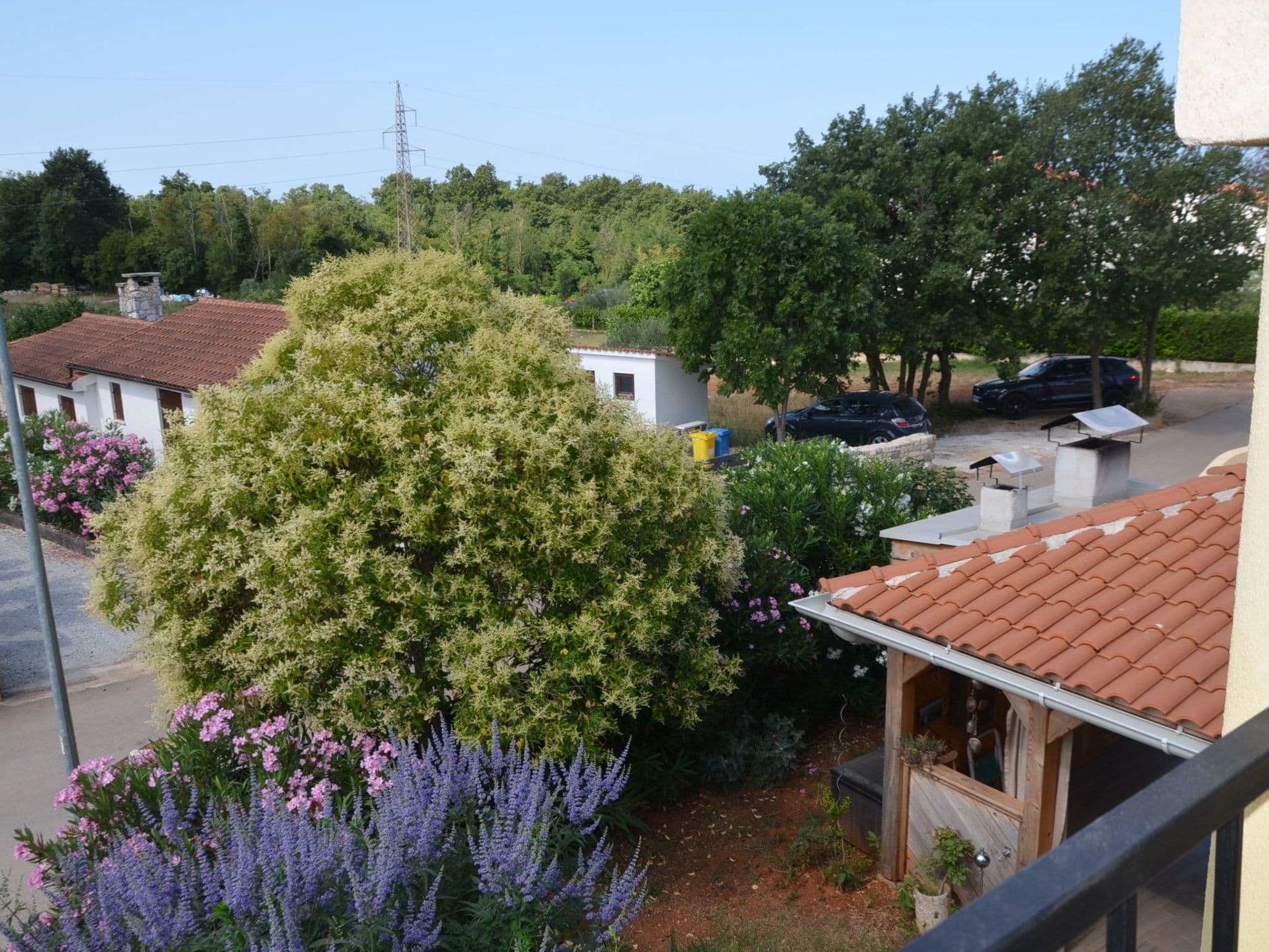 Gallery Image 7