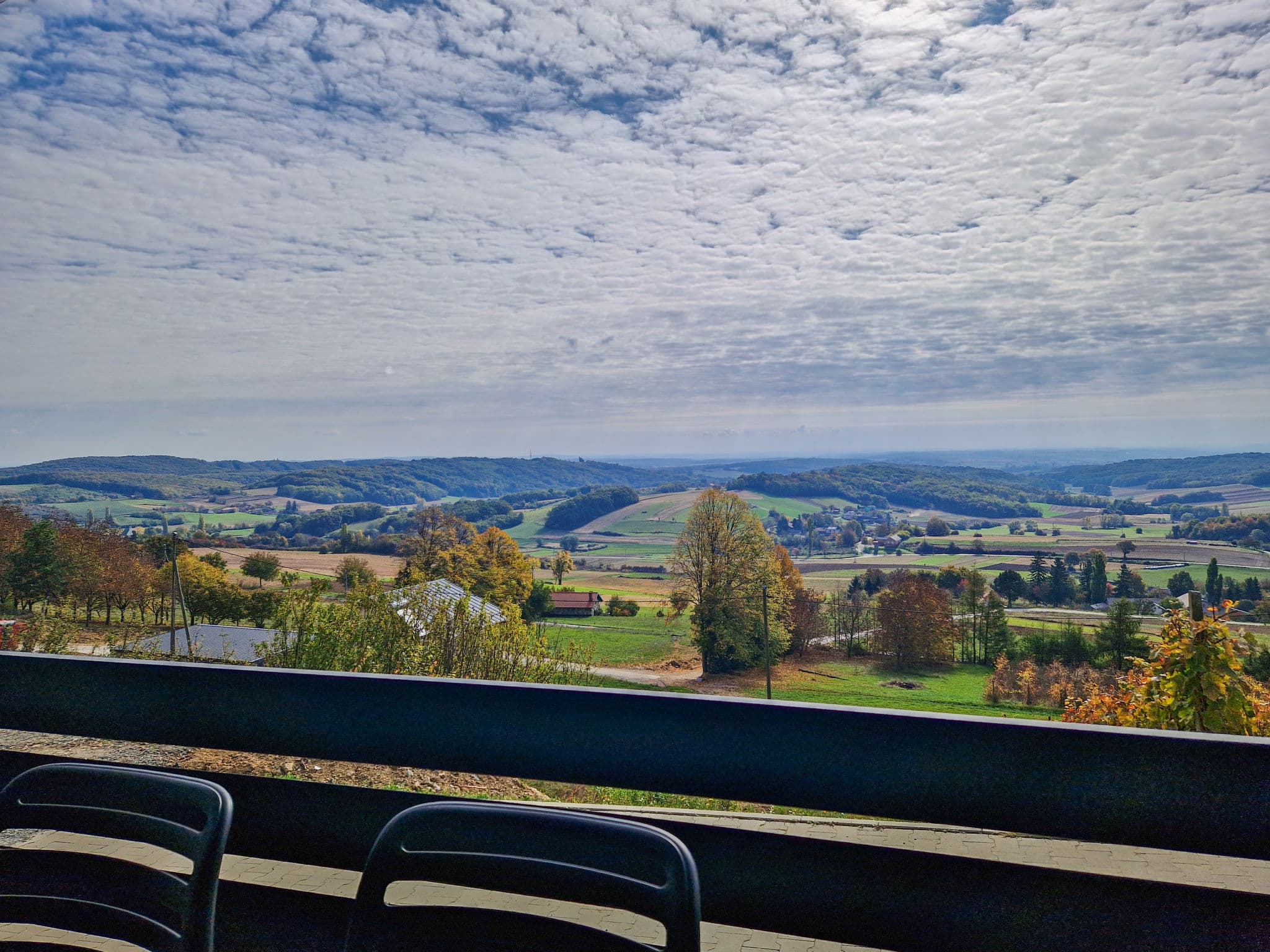 View