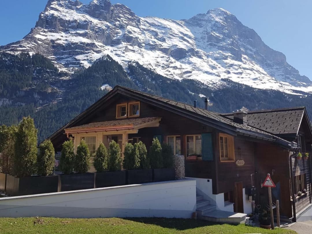 Large Image
