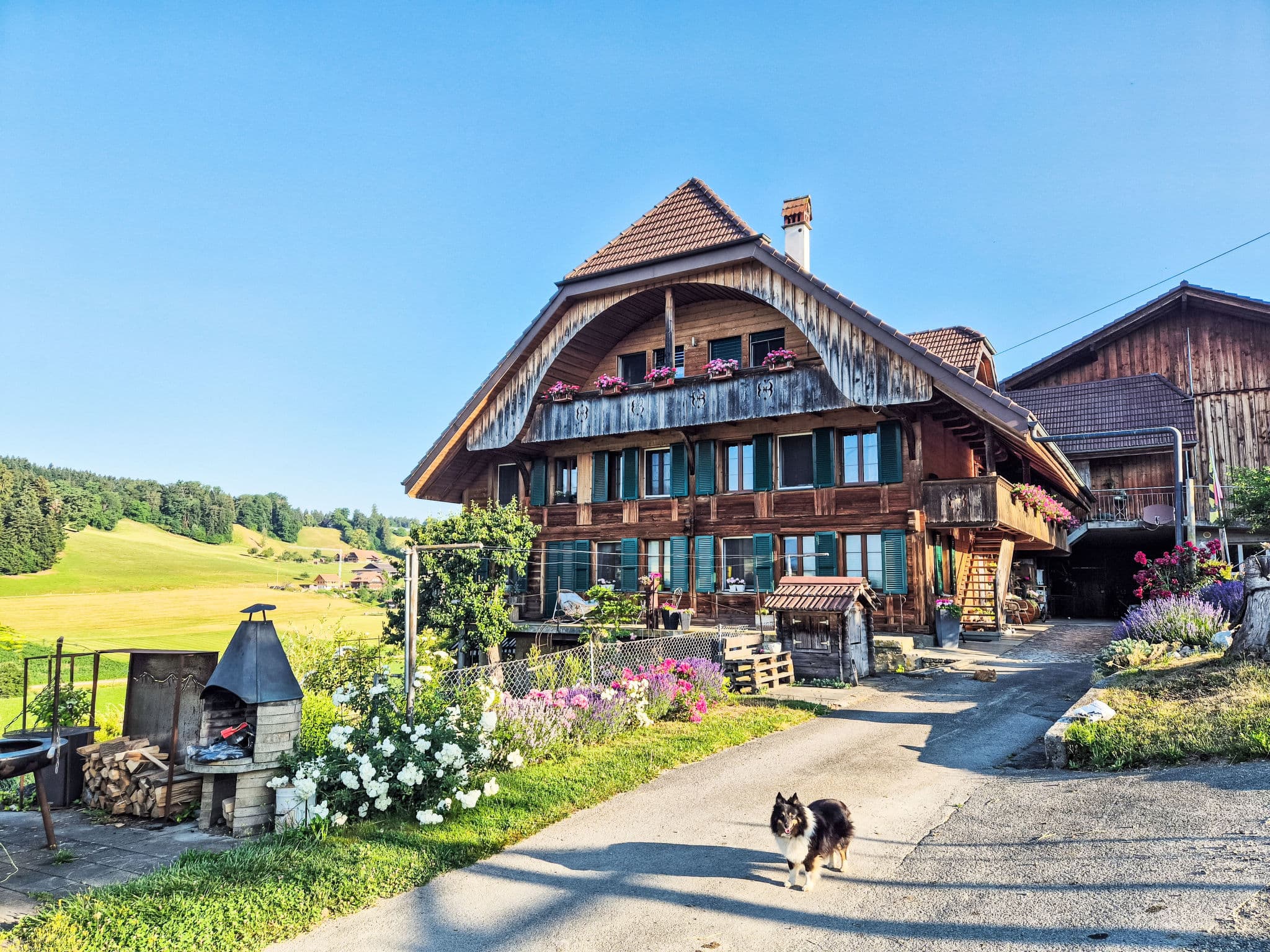 House