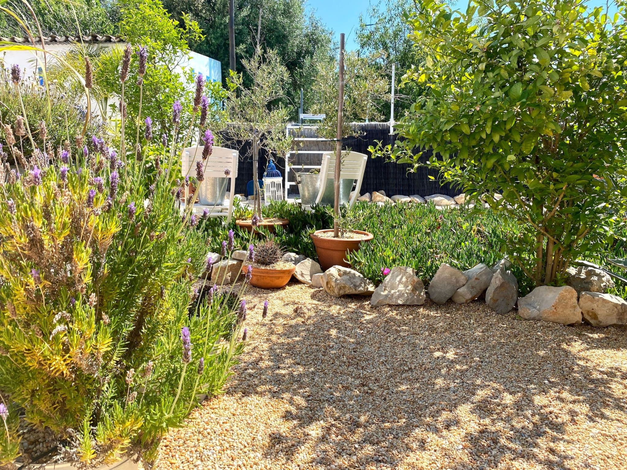 Gallery Image 23